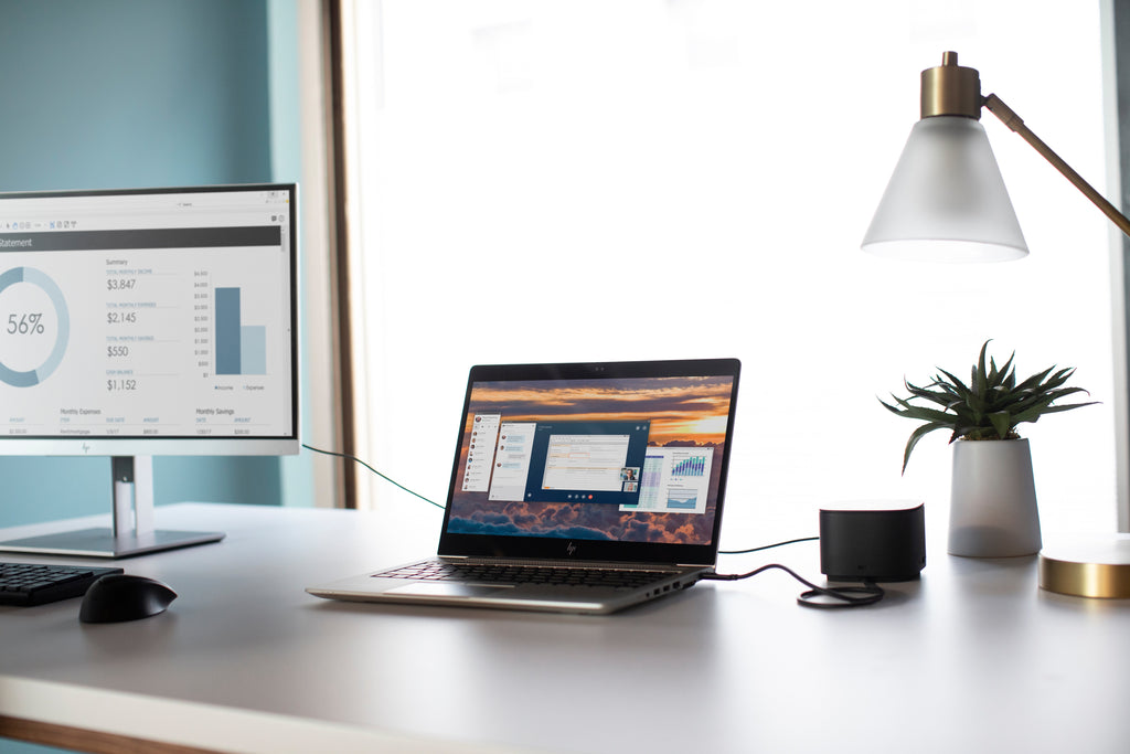 HP Souris USB avec lecture des empreintes digitales