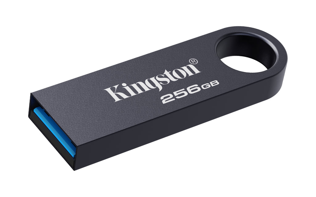 Kingston Technology DataTraveler SE9 G3 256 Go USB 3.2 Gen 1 - Nickel foncé