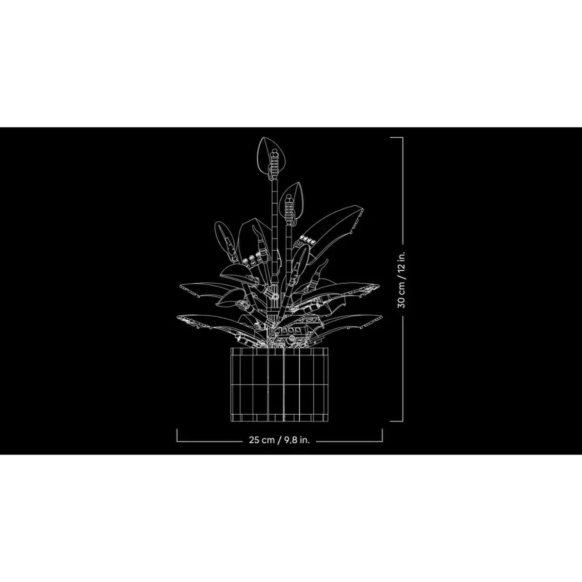 LEGO Botanicals les Fleurs de Lune 11504