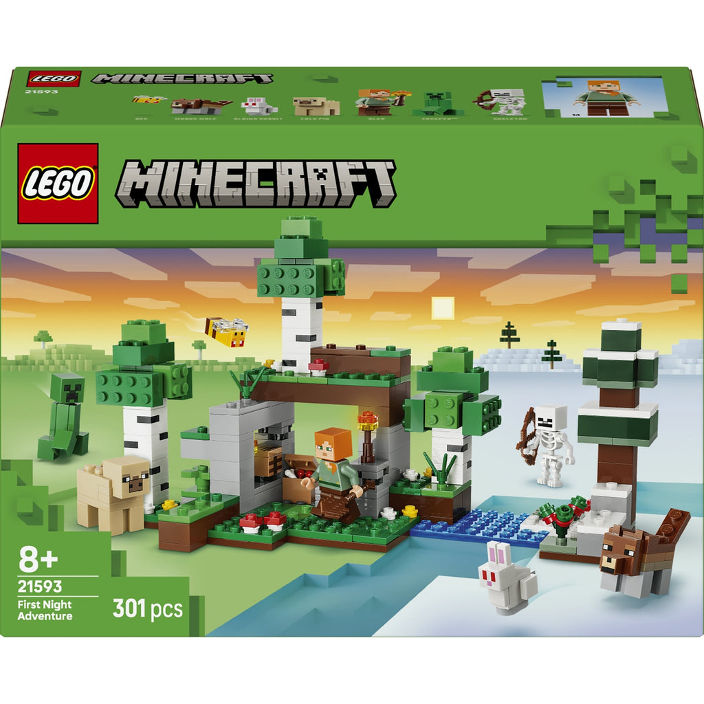 LEGO Minecraft L’aventure de la première nuit (21593)
