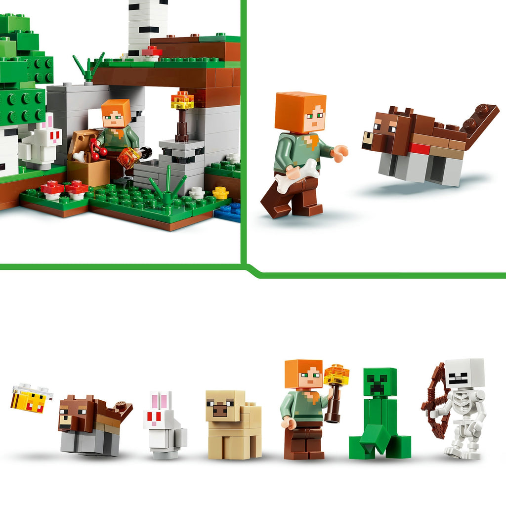 LEGO Minecraft L’aventure de la première nuit (21593)