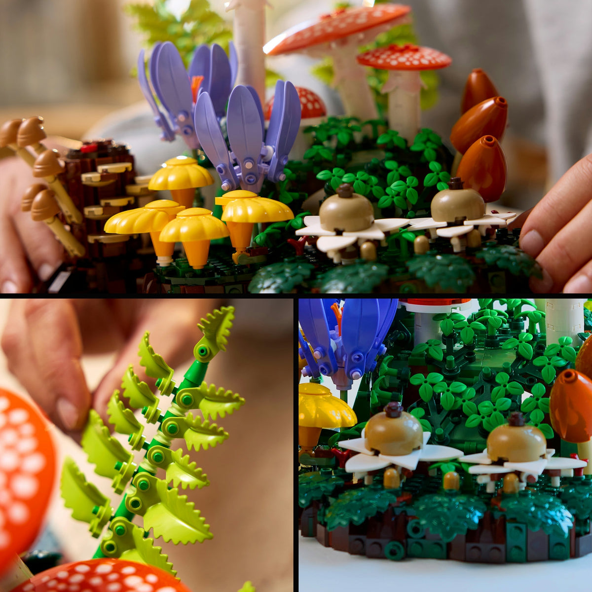 LEGO Botanicals Les champignons des bois 11505