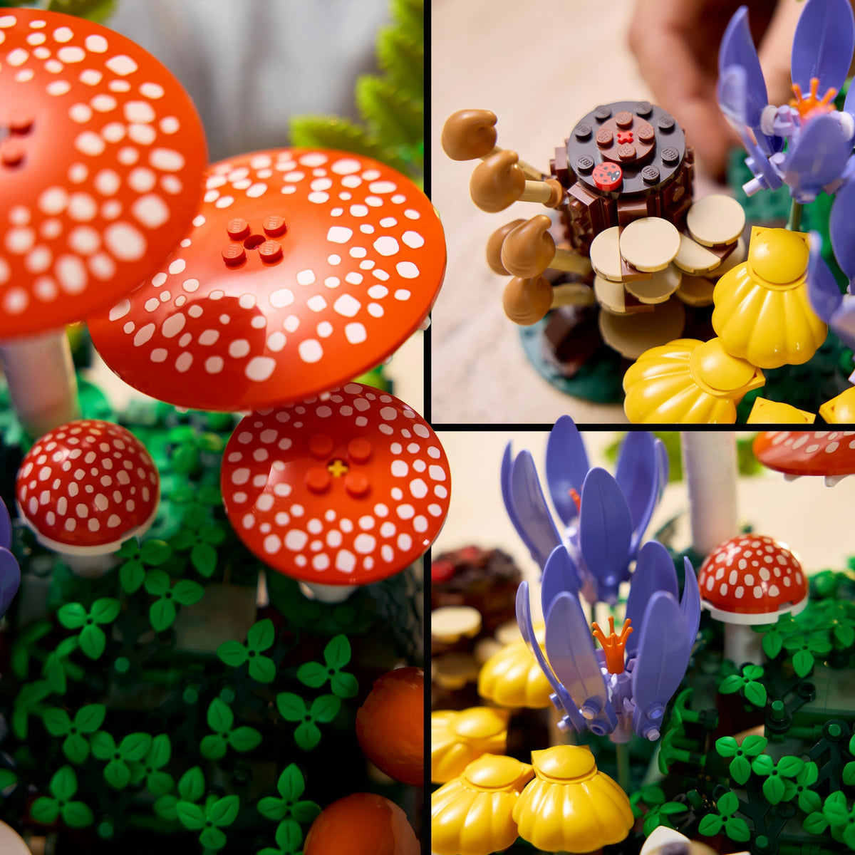 LEGO Botanicals Les champignons des bois 11505