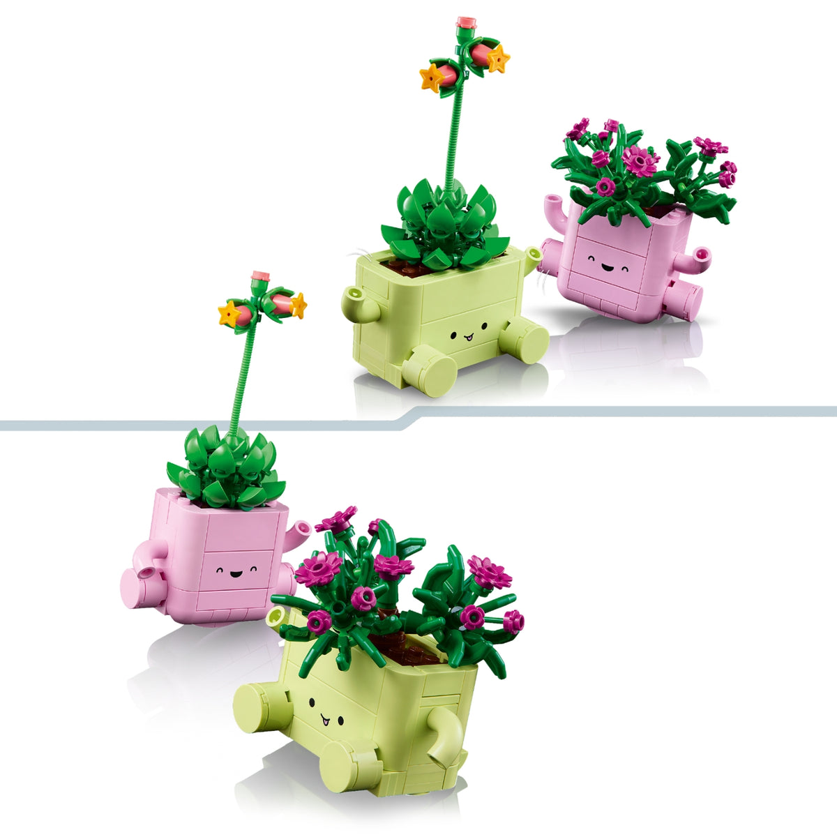 LEGO Botanicals Petites plantes dansantes 11506