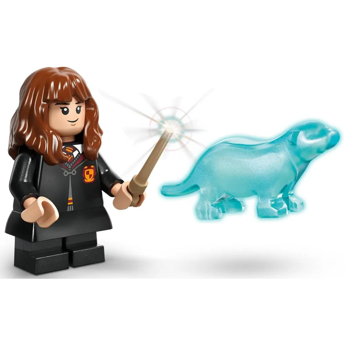 LEGO Harry Potter le chaudron le cours de potions caché 76464