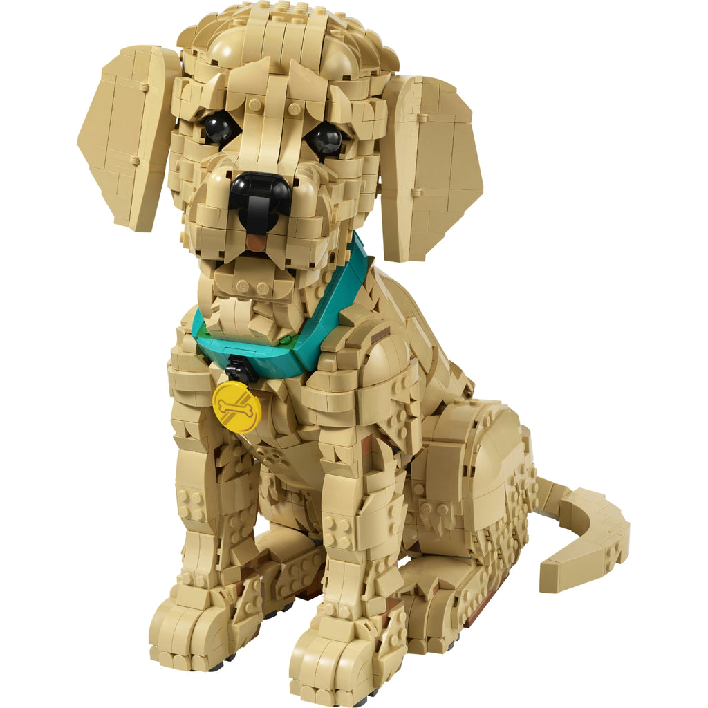 LEGO Icons Chiot Golden Retriever 11384