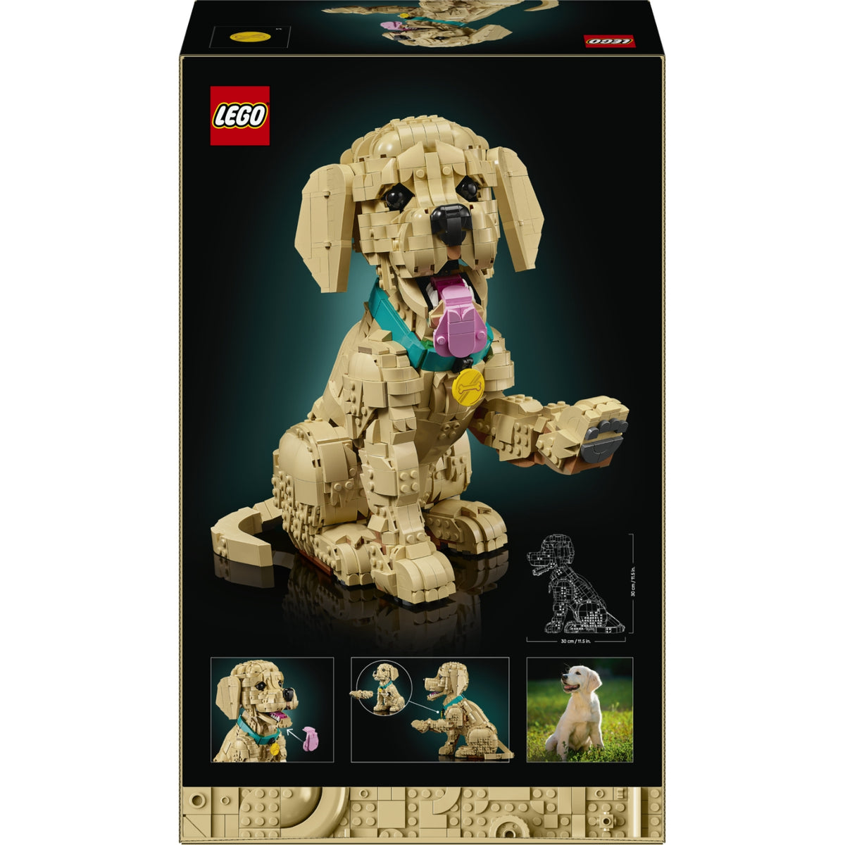 LEGO Icons Chiot Golden Retriever 11384