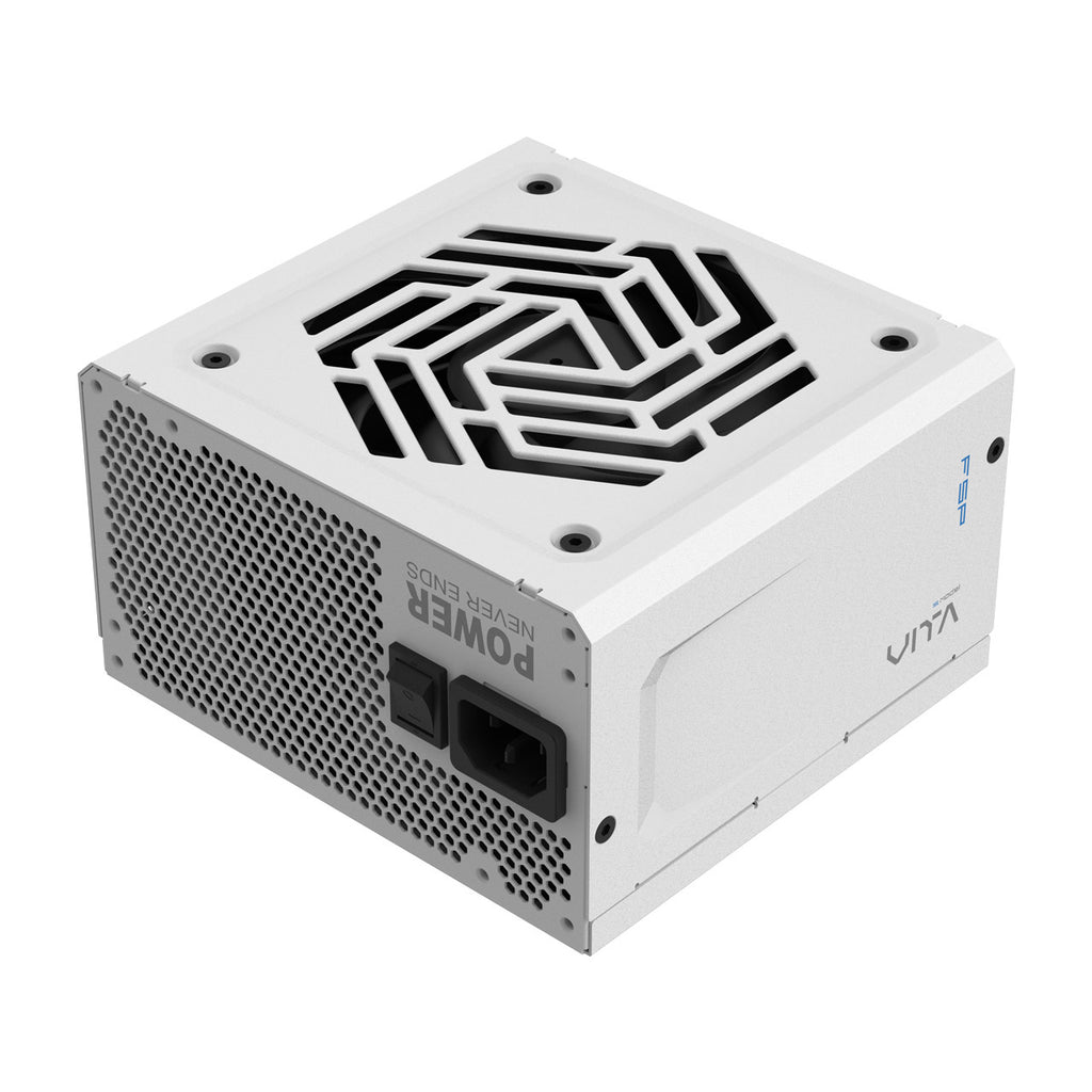FSP VITA GM 850W unité d'alimentation d'énergie 20+4 pin ATX ATX Blanc - vue 6