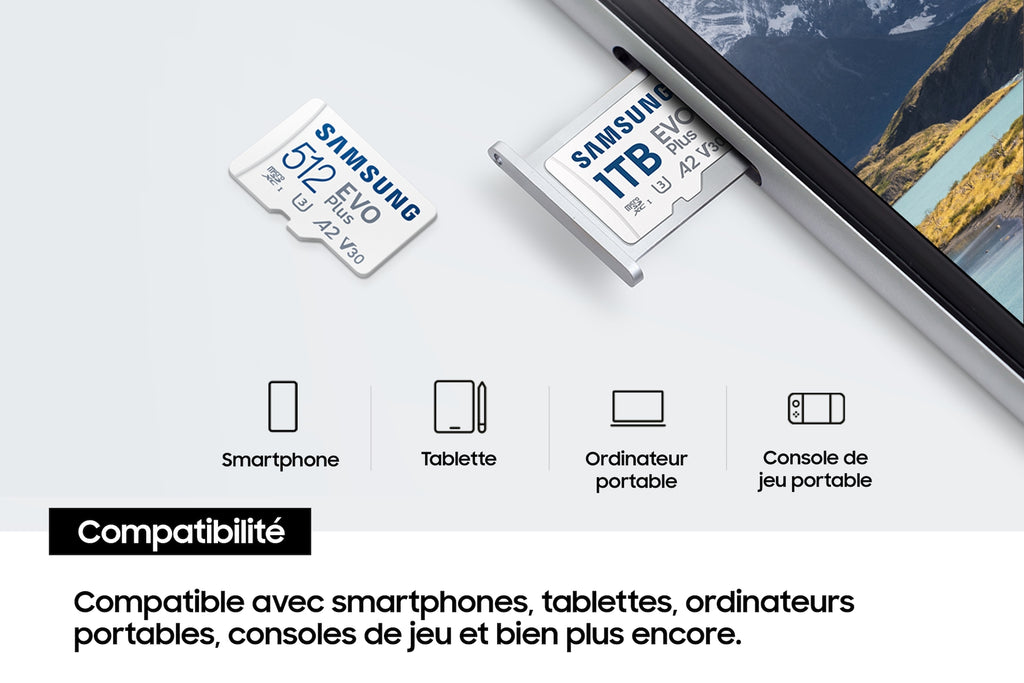 Samsung Carte MicroSD EVO Plus (2024) 64 Go