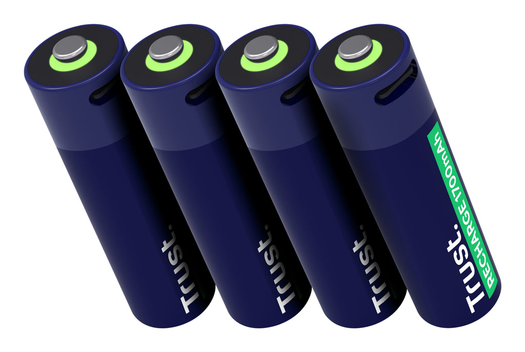 Trust 25631 Piles Rechargeables AA avec Câble USB-C