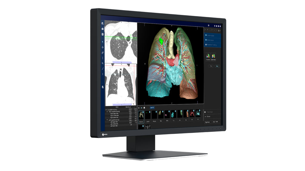 EIZO RadiForce MX243W Écran LCD 24.1" WUXGA 1920 x 1200 Noir