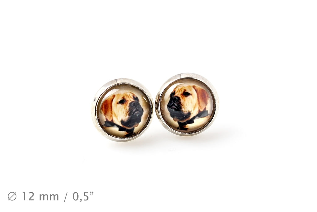Bullmastiff - earrings in a box, your photo, handmade jewelry, a product of the Art-Dog brand