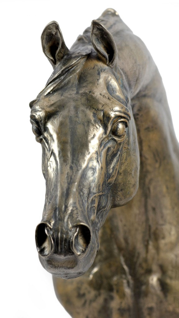 Australian Stock Horse - a large statuette with a horse, a bust on a stone base, a prestigious award in the Art-Dog brand competition.