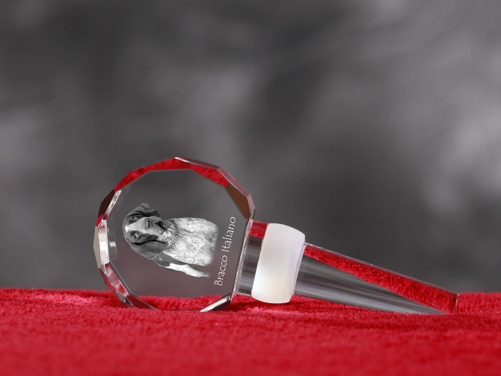 Italian Pointing Dog, Bracco Italiano, Italian Pointer - Crystal bottle stopper, unique wine stopper with photo, personalised gift for sommelier by Art-Dog brand