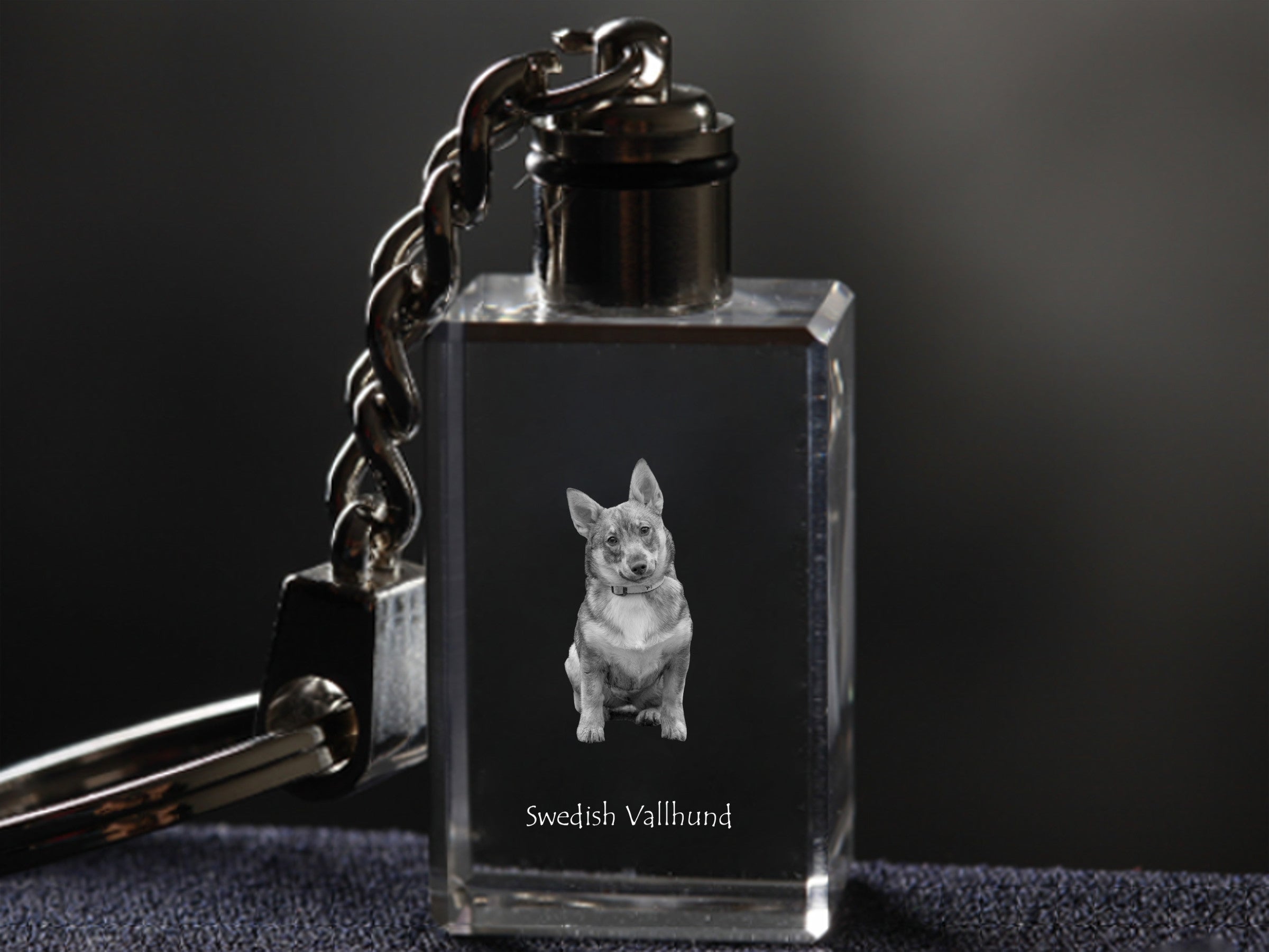 Swedish Vallhund, Swedish Cattle Dog, Swedish Shepherd - Crystal key ring with dog photo, illuminated key ring, unique gift by Art-Dog brand
