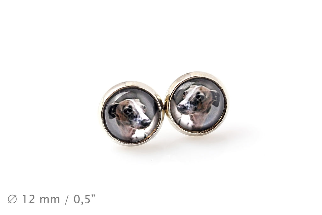 Italian Greyhound, Italian Sighthound - earrings in a box, your photo, handmade jewelry, a product of the Art-Dog brand