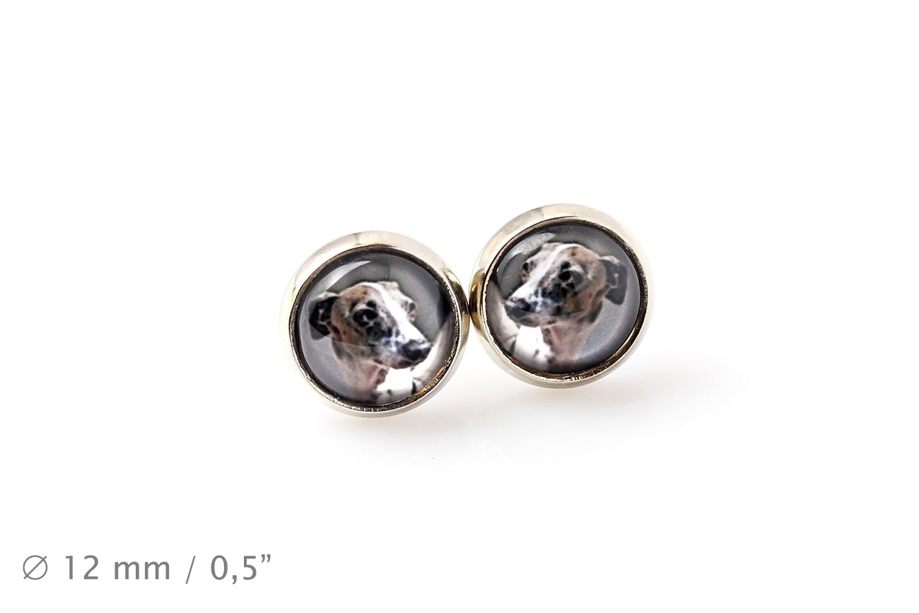 Italian Greyhound, Italian Sighthound - earrings in a box, your photo, handmade jewelry, a product of the Art-Dog brand
