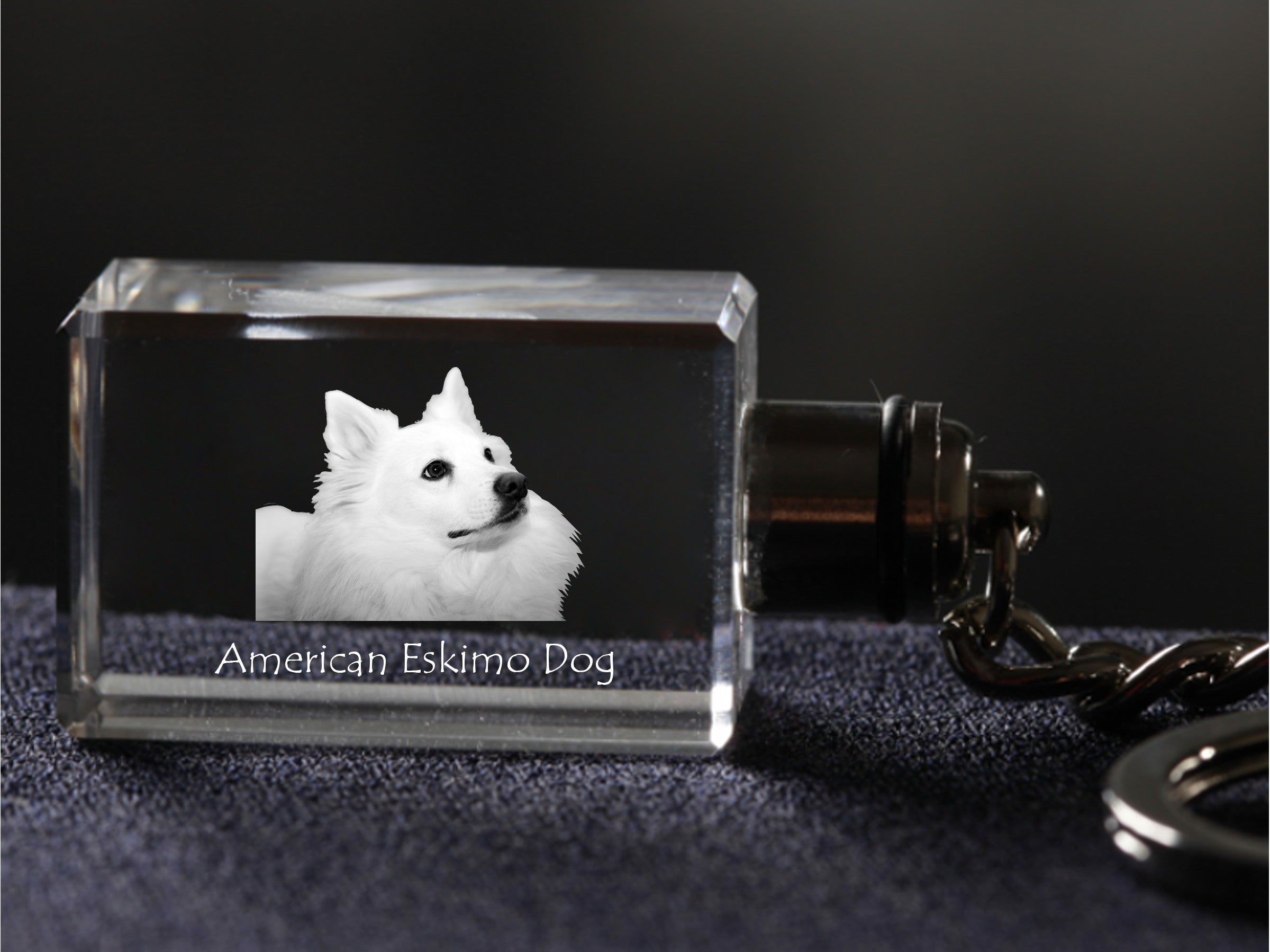 American Eskimo Dog, American Spitz - Crystal key ring with dog photo, illuminated key ring, unique gift by Art-Dog brand
