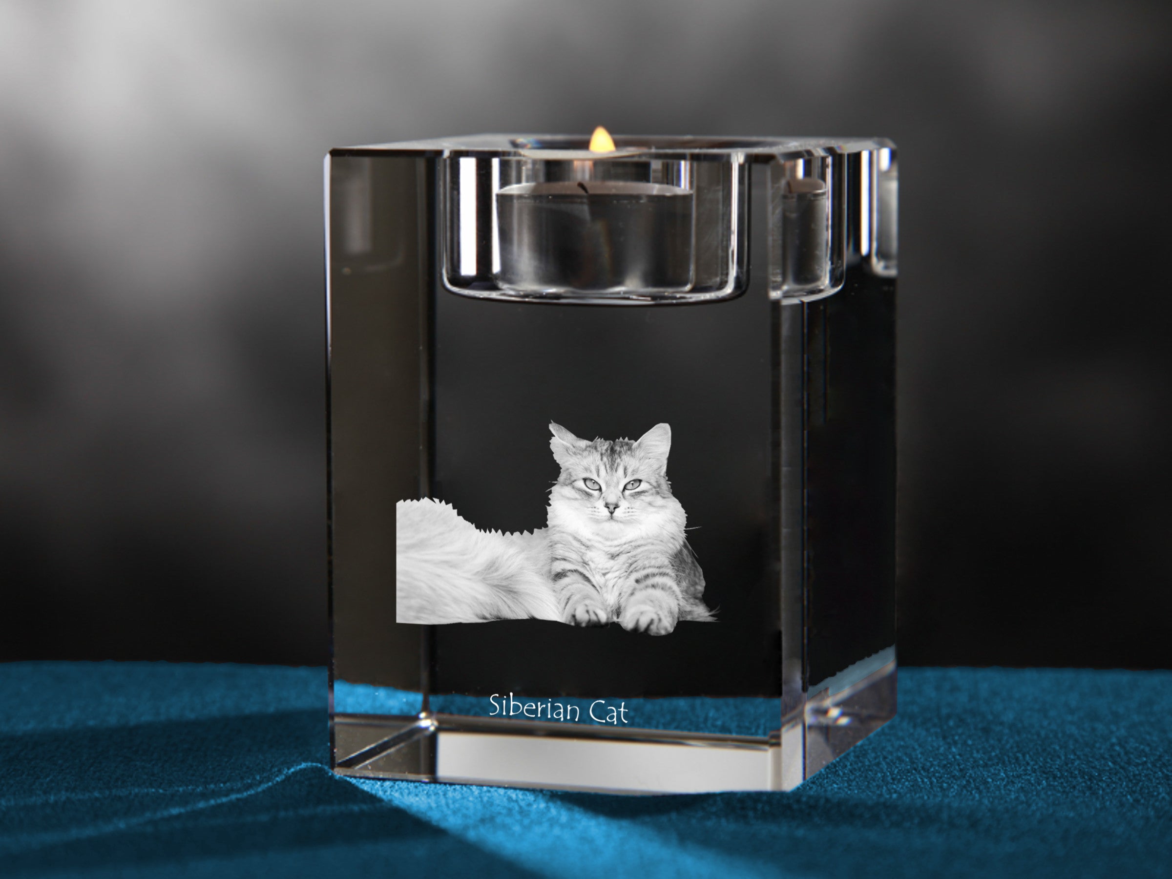 Siberian - Candle holder with cat photo, crystal tealight holder, personalised gift by Art-Dog brand