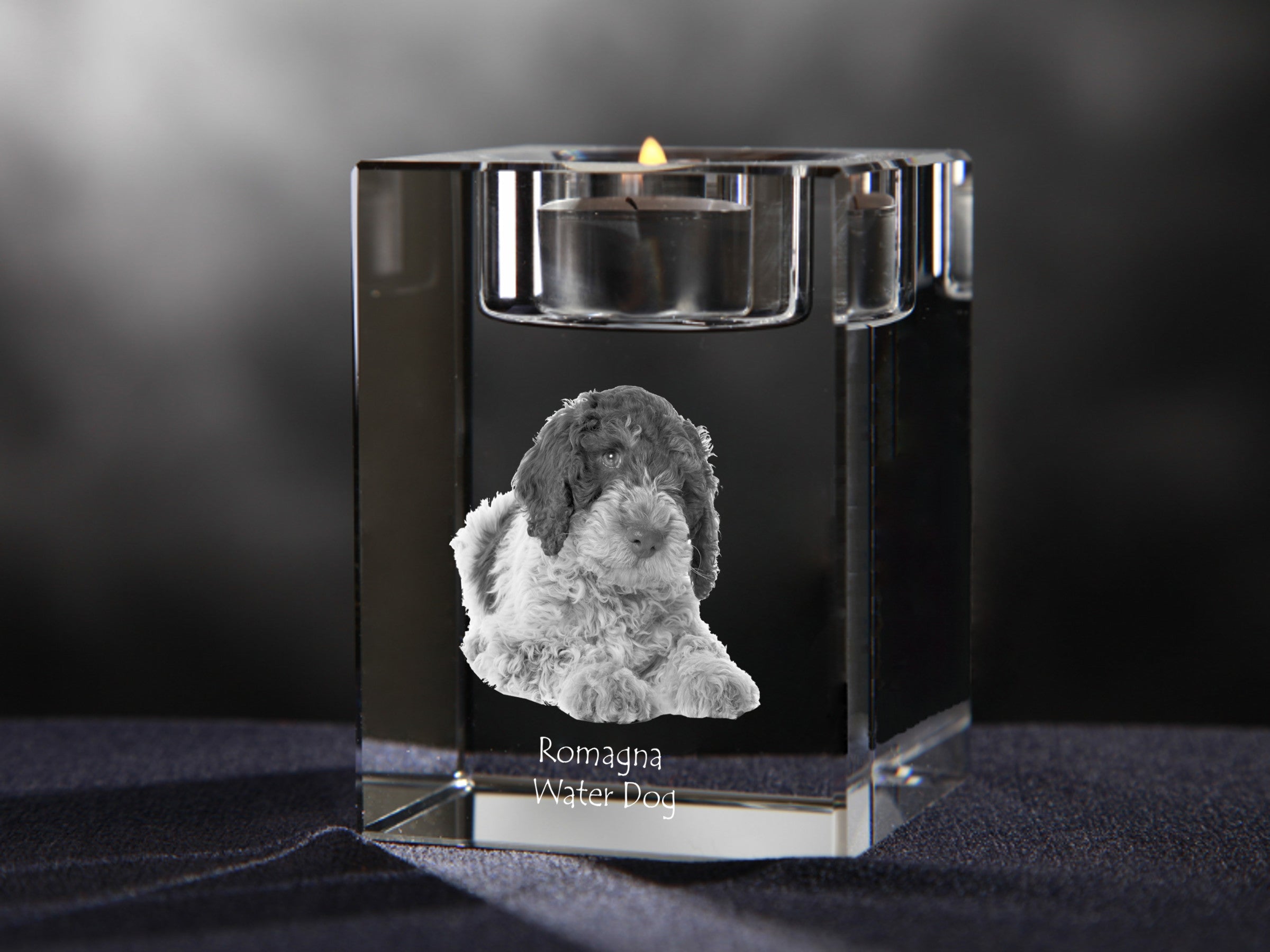 Romagna Water Dog - Candle holder with dog photo, crystal tealight holder, personalised gift by Art-Dog brand