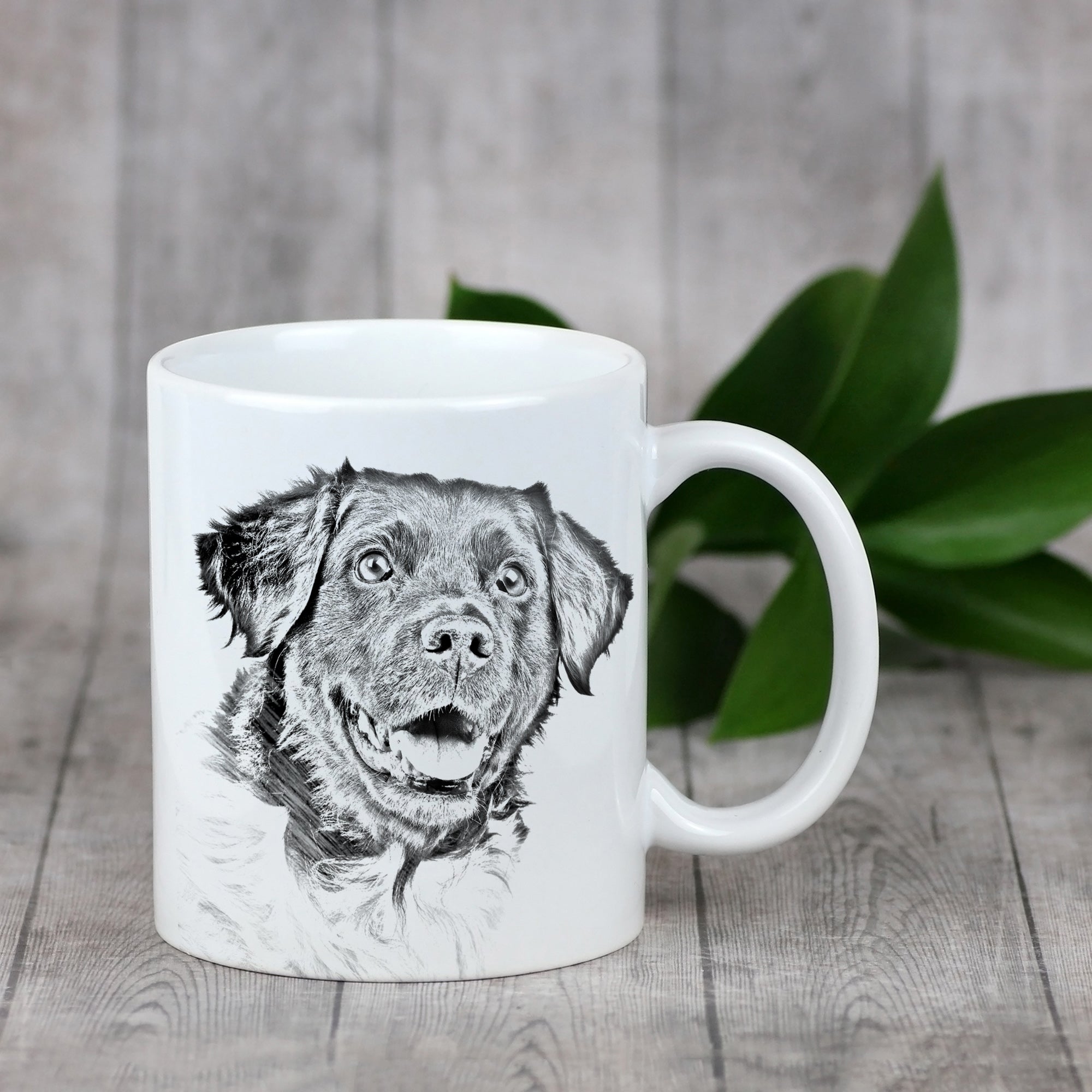 Stabyhoun, Stabijhoun, Fryske Stabij - cup with a dog, cup with a photo, personalized gift from the Art-Dog brand