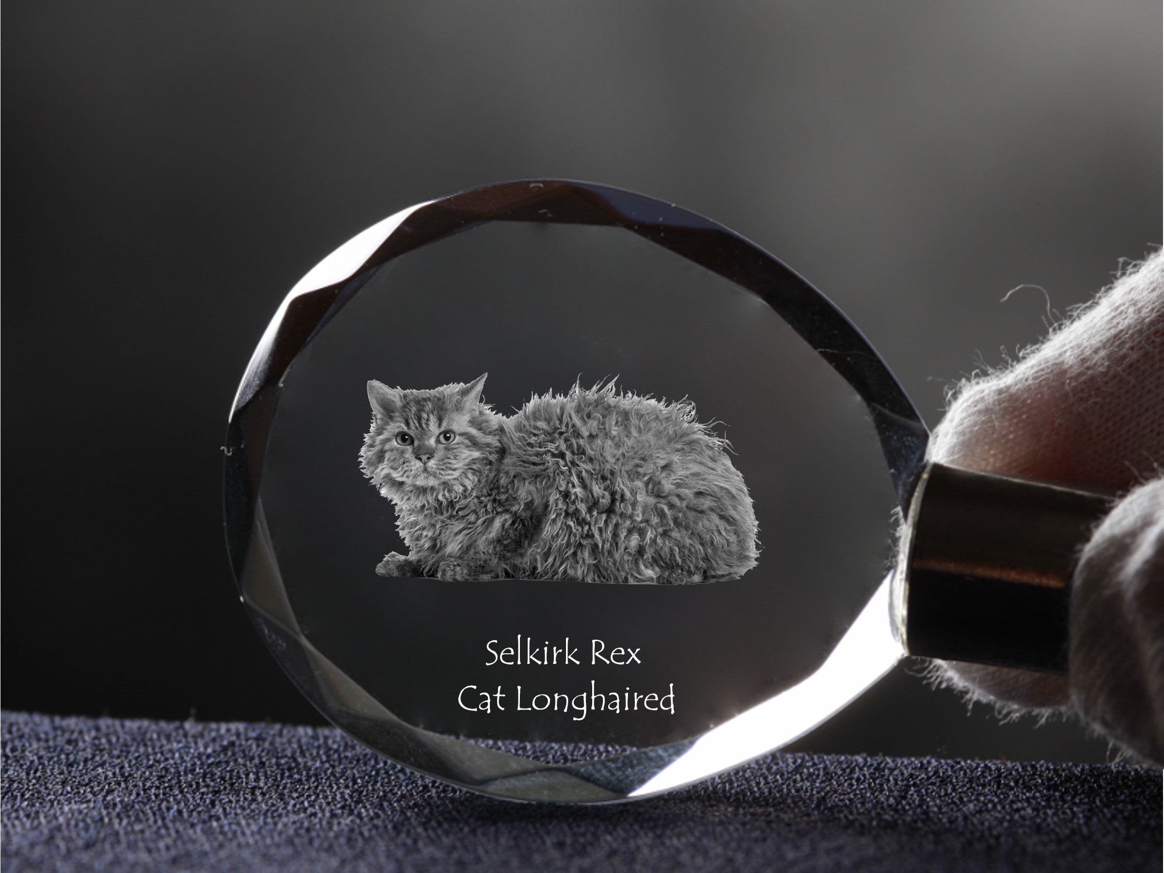 Selkirk Rex Longhaired - Fob with cat photo, crystal key ring in gift box, unique gift by Art-Dog brand