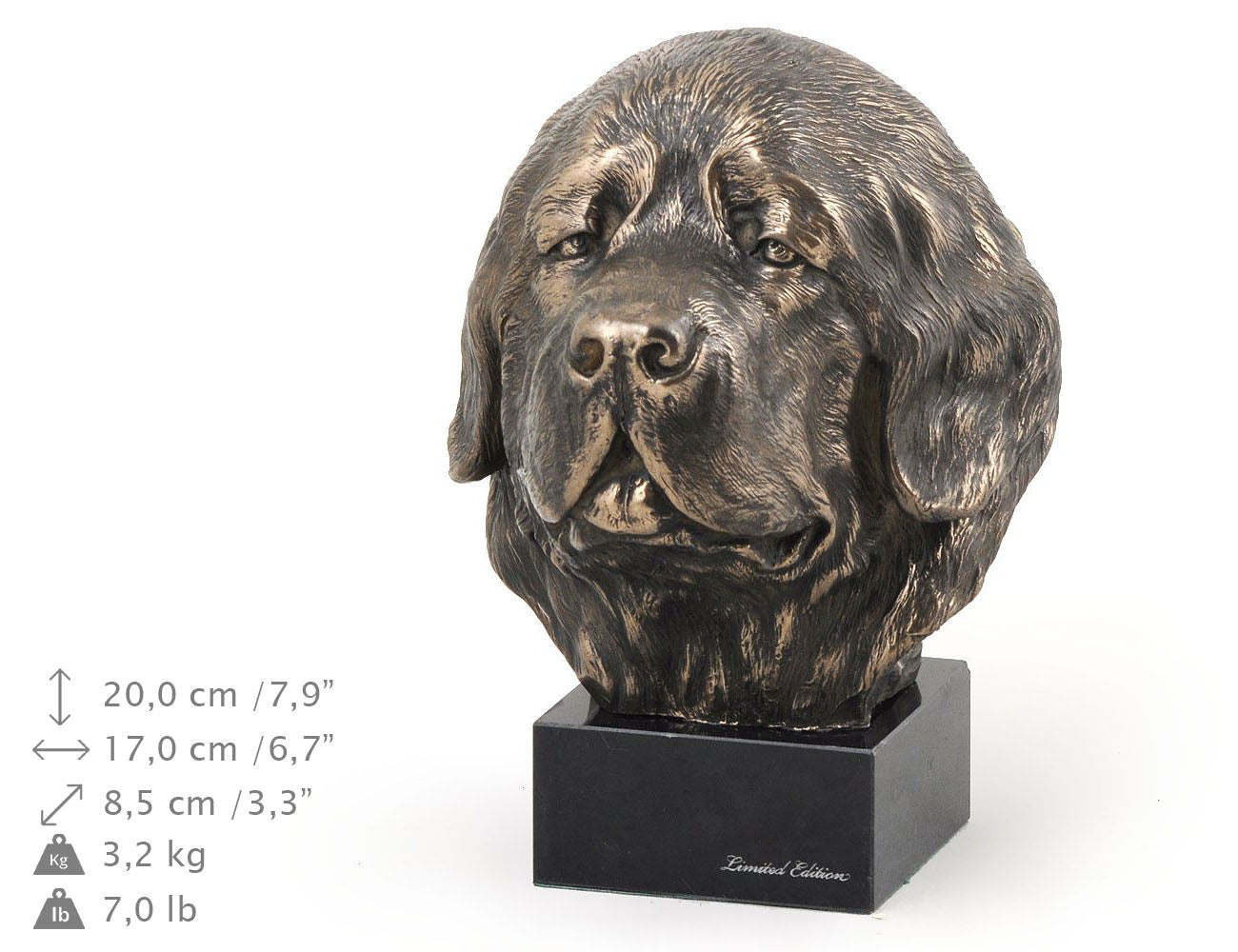 Newfoundland, Newfs, Newfies - Dog statue, bust on stone base, sculpture, trophy for dog show by Art-Dog brand