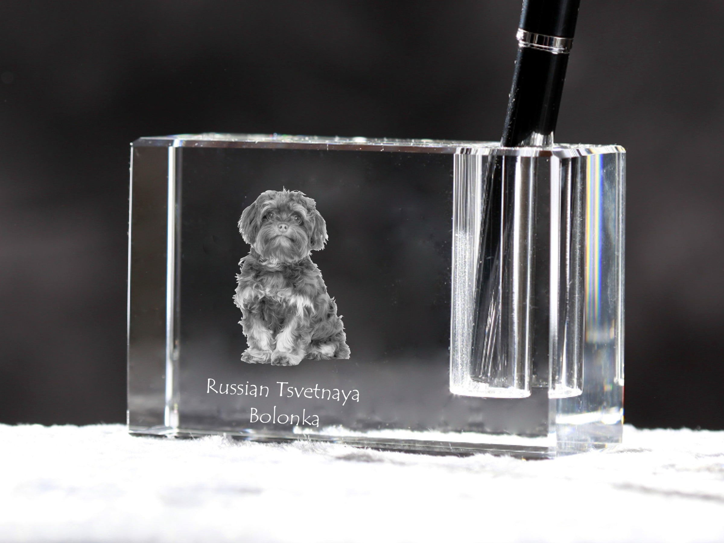 Bolonka, Russian Tsvetnaya Bolonka - Pen stand, crystal organiser with dog photo, unique desk decoration by Art-Dog brand