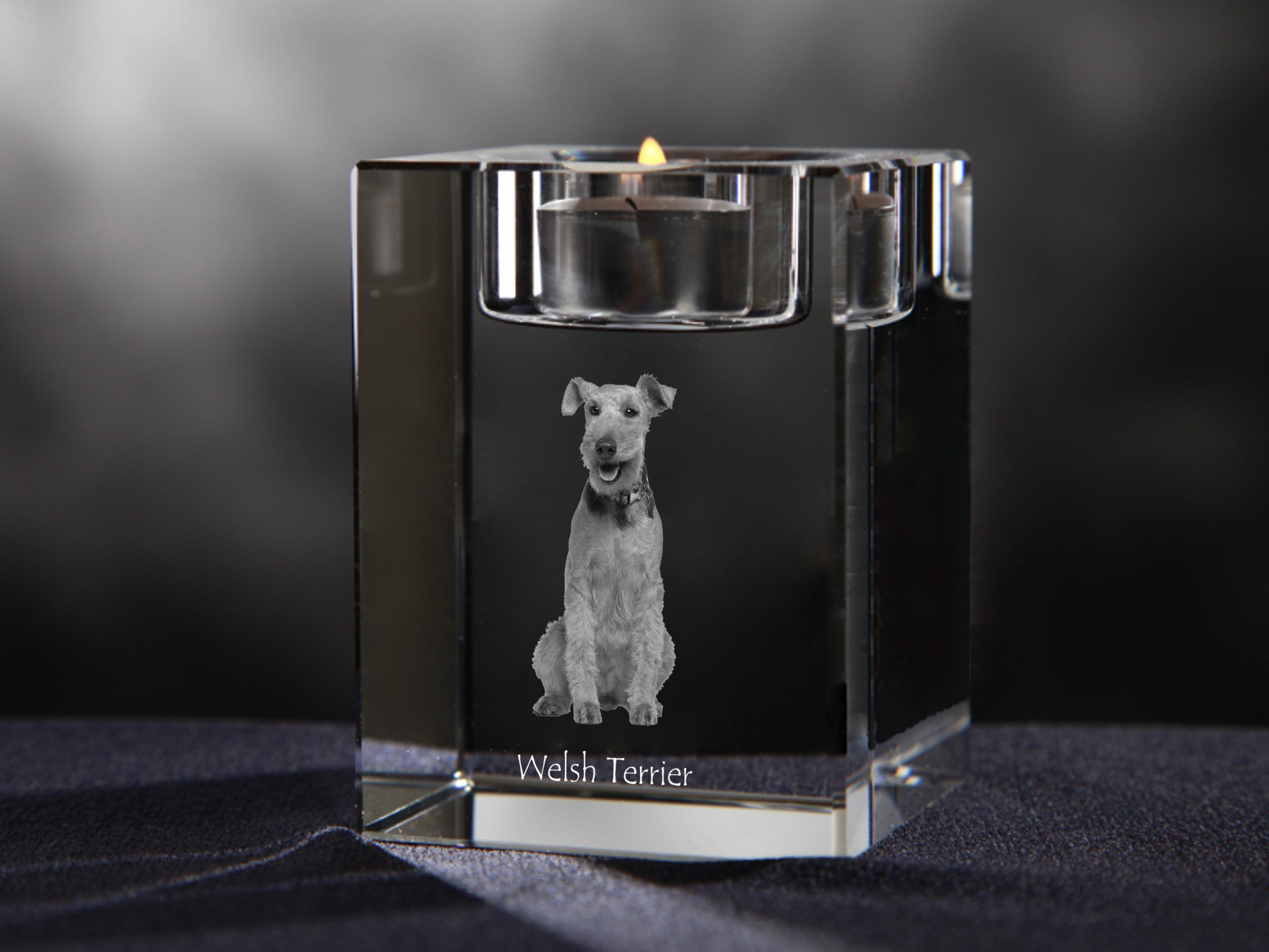 Welsh Terrier, Welshie, Daeargi Cymreig - Candle holder with dog photo, crystal tealight holder, personalised gift by Art-Dog brand