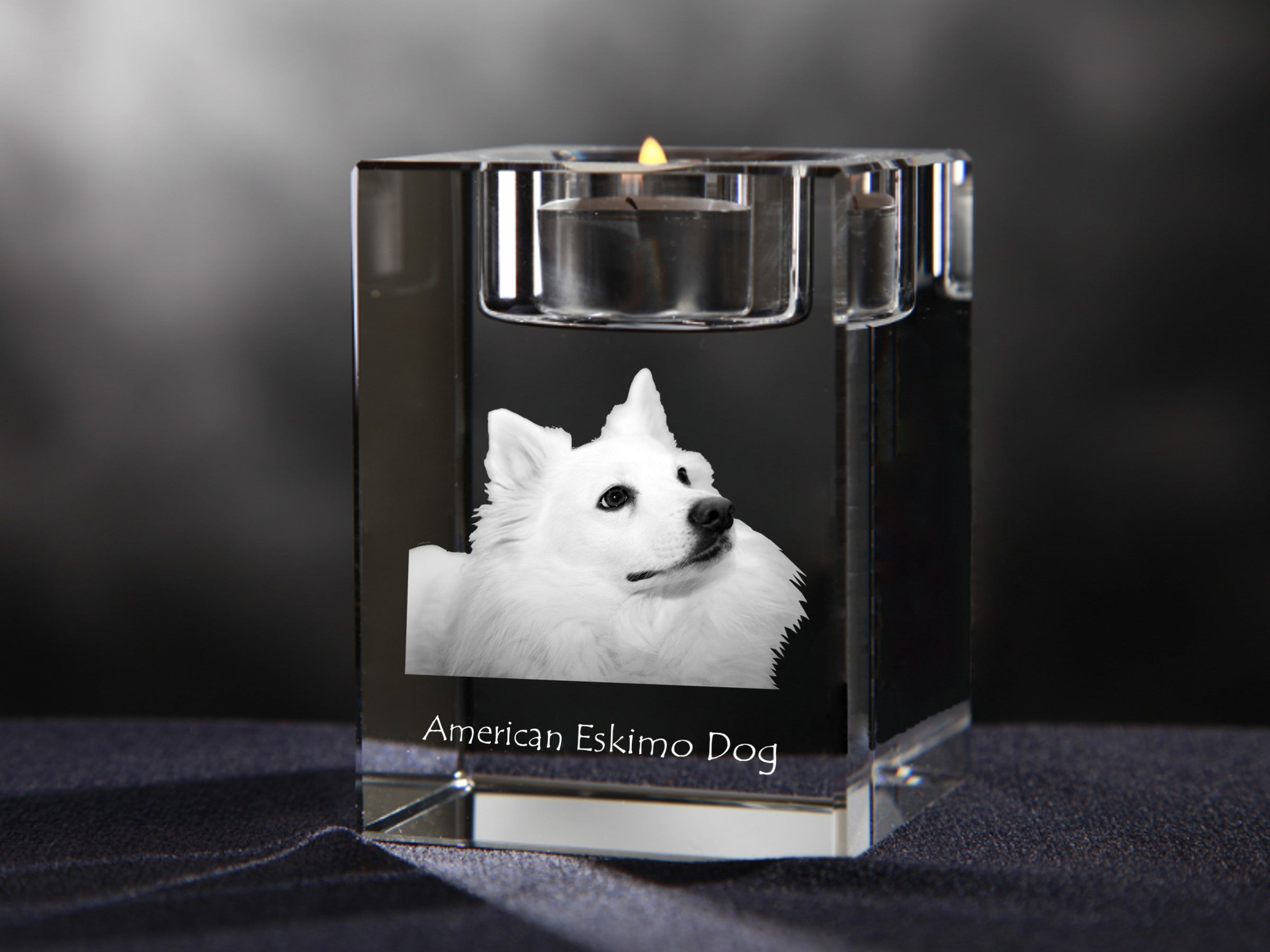 American Eskimo Dog, American Spitz - Candle holder with dog photo, crystal tealight holder, personalised gift by Art-Dog brand