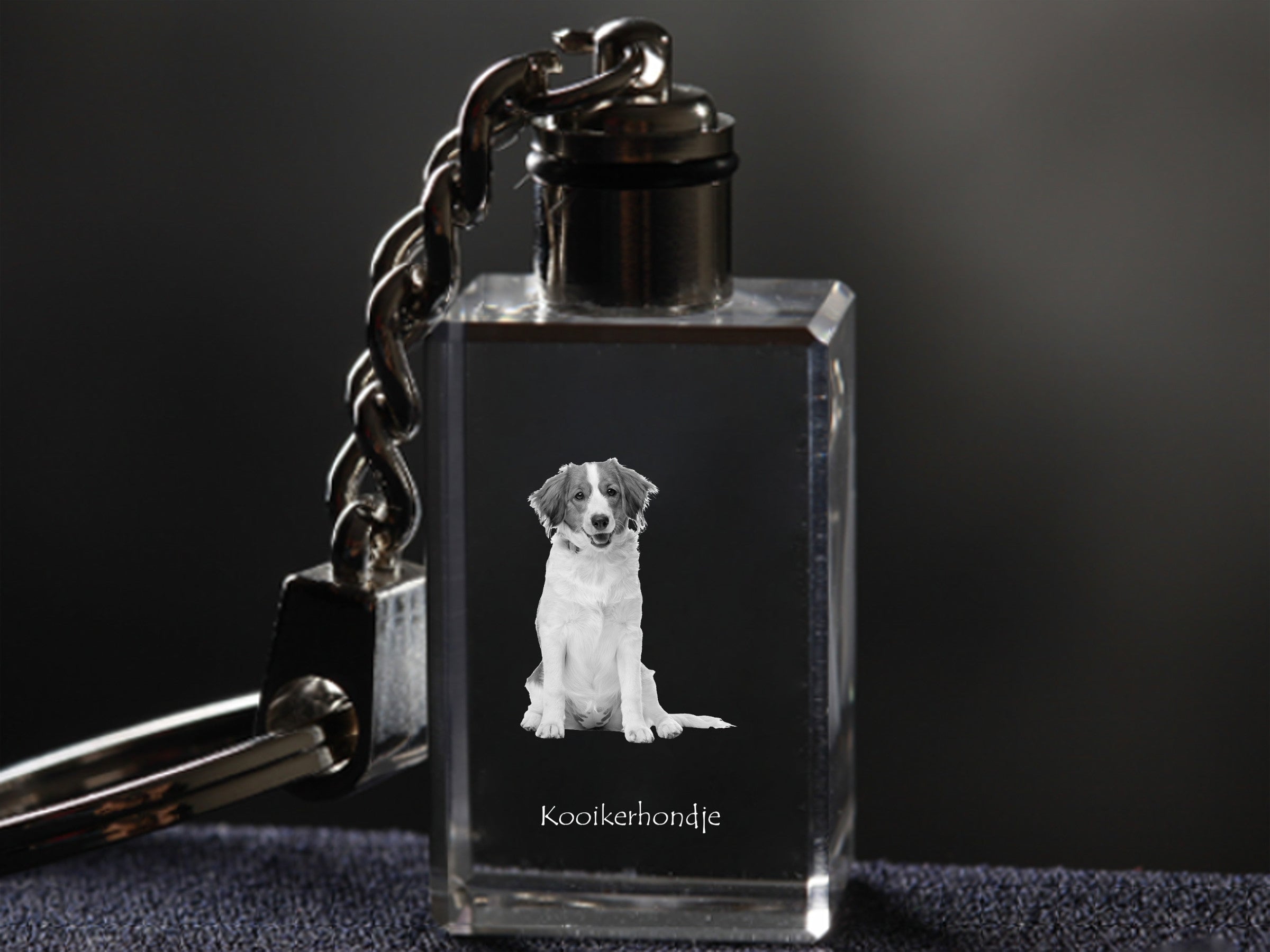 Kooikerhondje - Crystal key ring with dog photo, illuminated key ring, unique gift by Art-Dog brand