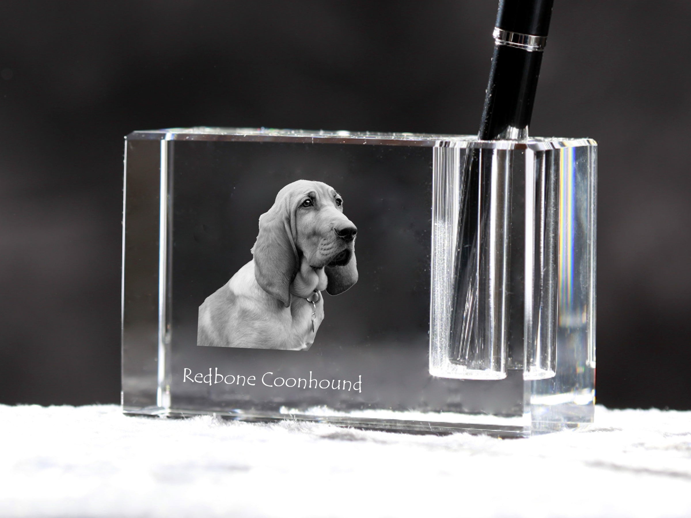 Redbone Coonhound - Pen stand, crystal organiser with dog photo, unique desk decoration by Art-Dog brand