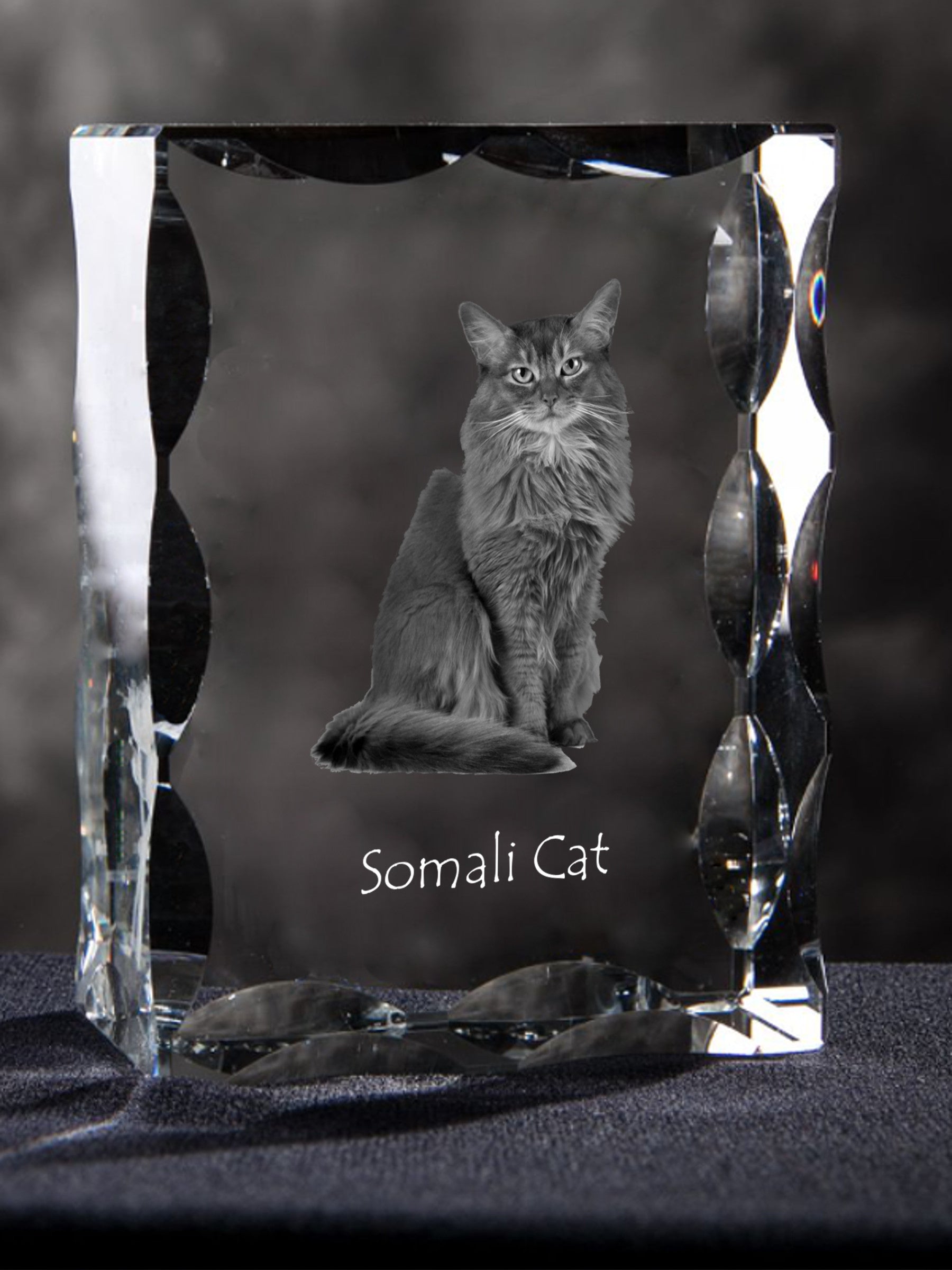 Somali - crystal with a cat picture, glass statuette with a picture, unique frame with a picture from Art-Dog brand