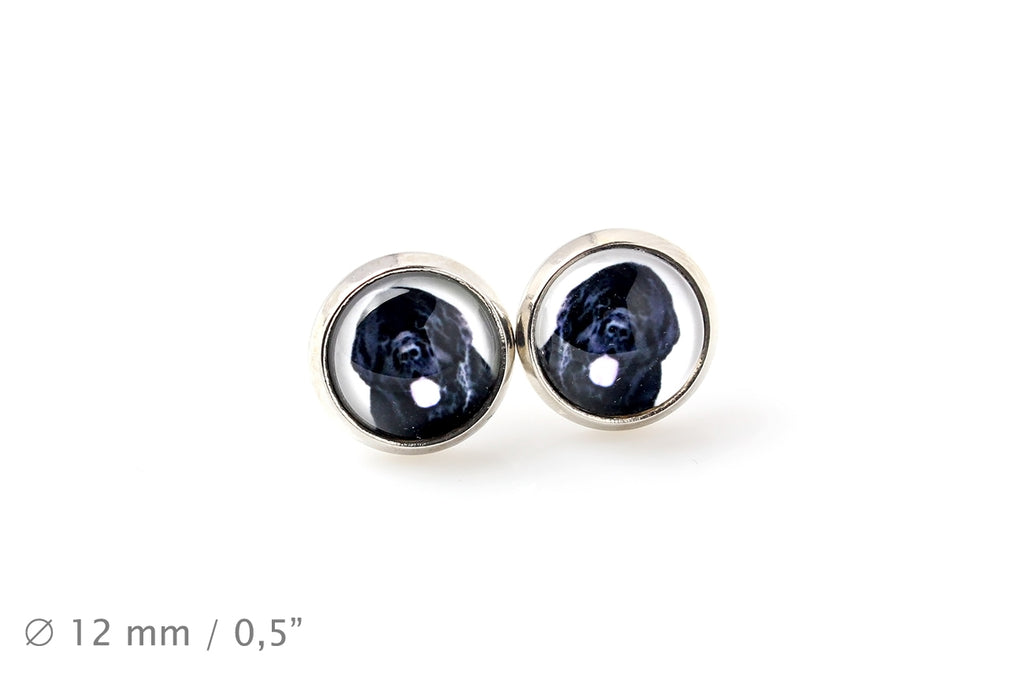 Newfoundland, Newfs, Newfies - earrings in a box, your photo, handmade jewelry, a product of the Art-Dog brand