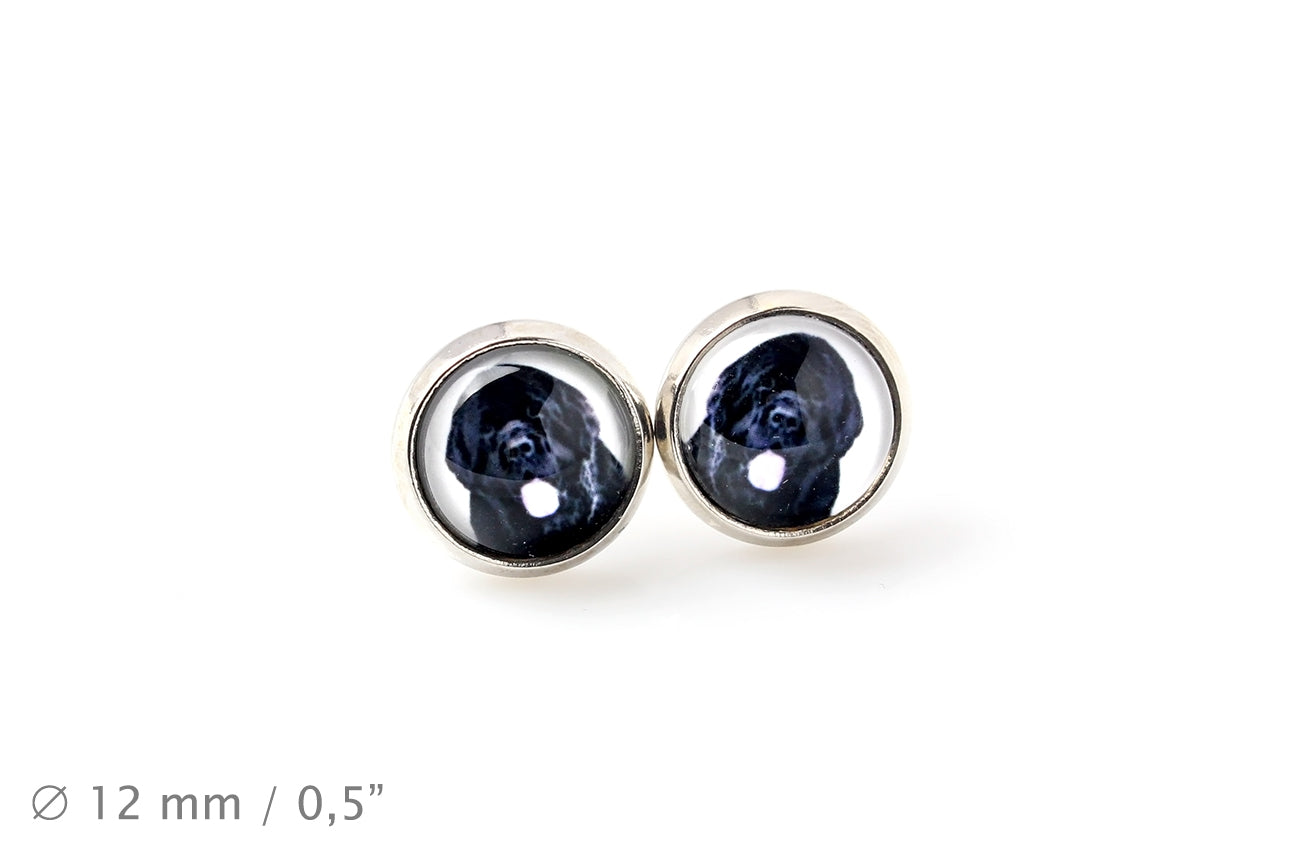 Newfoundland, Newfs, Newfies - earrings in a box, your photo, handmade jewelry, a product of the Art-Dog brand