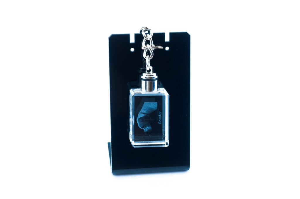 English Pointer I - Crystal key ring with dog photo, illuminated key ring, unique gift by Art-Dog brand