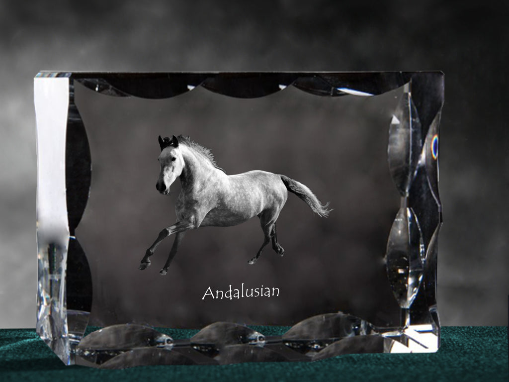 Andalusian - kryształ ze zdjęciem konia, szklana statuetka ze zdjęciem, wyjątkowa ramka ze zdjęciem marki Art-Dog
