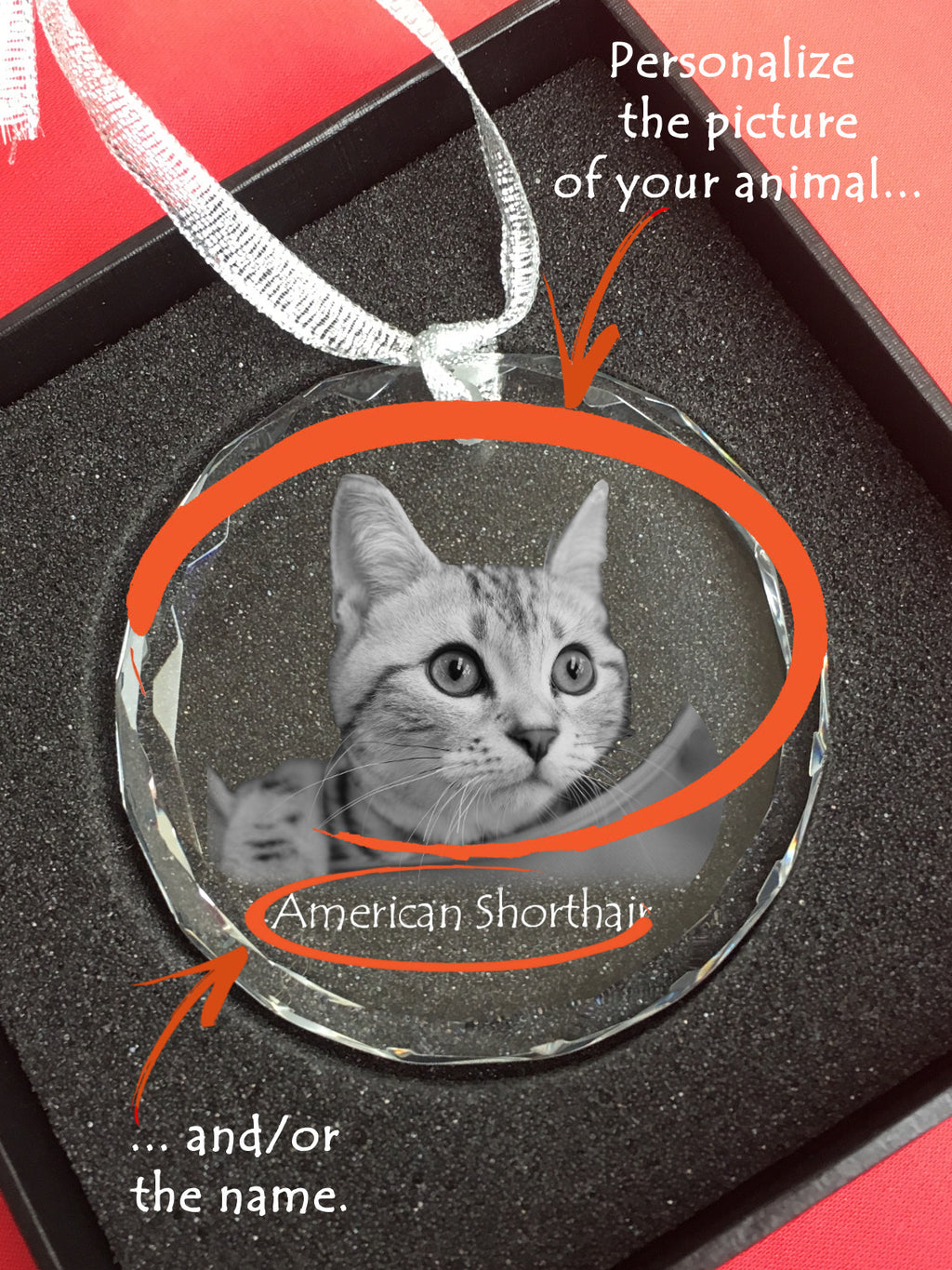 Toyger - crystal bauble with a photo, photo of a cat in crystal, personalized Christmas tree ornament by Art-Dog brand