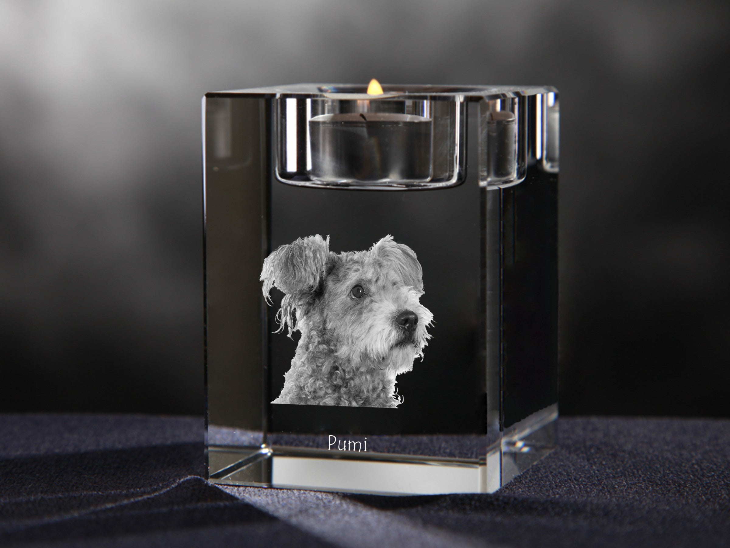 Pumi, Hungarian Pumi, Hungarian herding terrier - Candle holder with dog photo, crystal tealight holder, personalised gift by Art-Dog brand