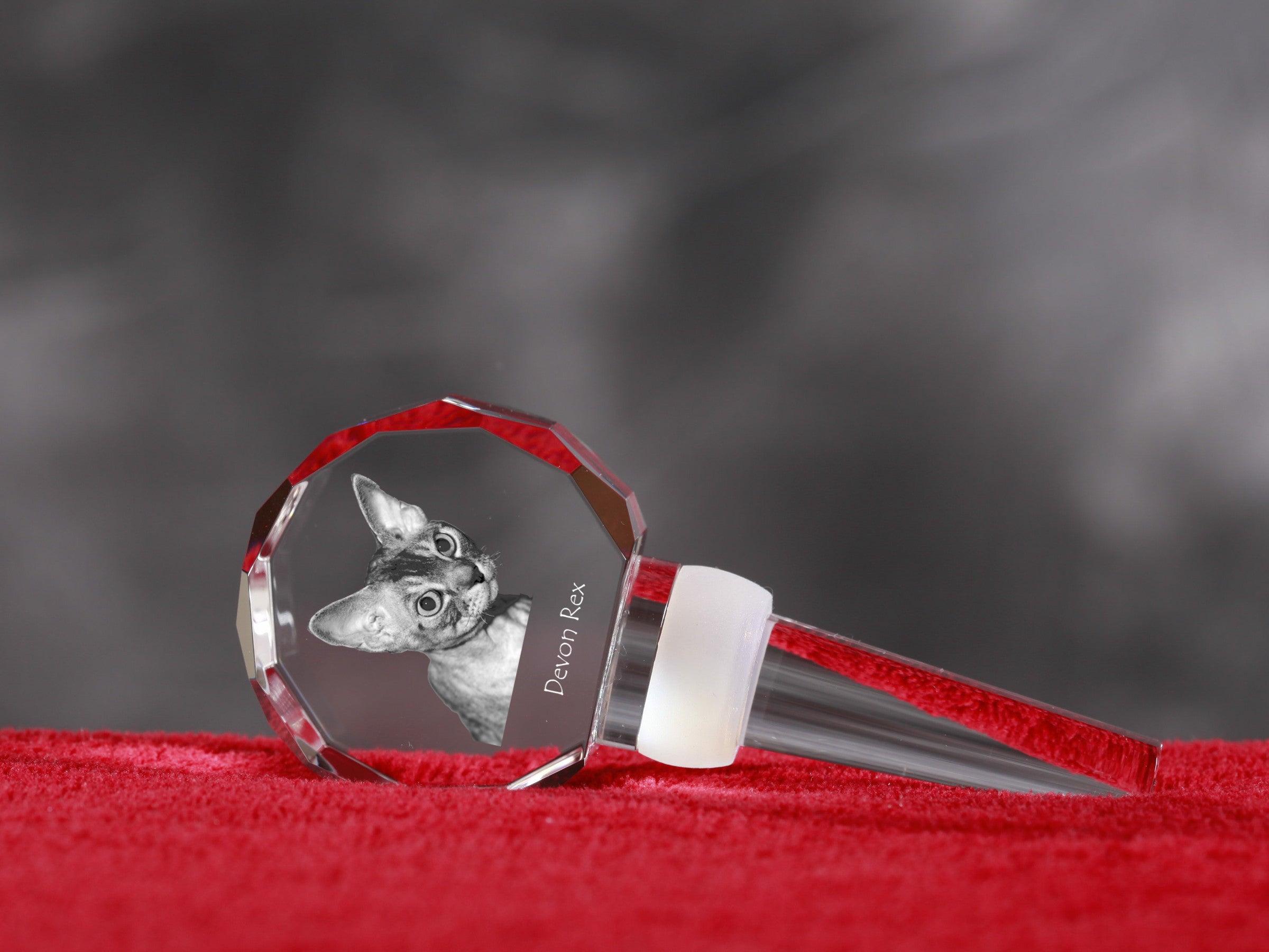 Devon Rex - Crystal bottle stopper with cat, unique wine stopper with photo, personalised gift for sommelier by Art-Dog brand