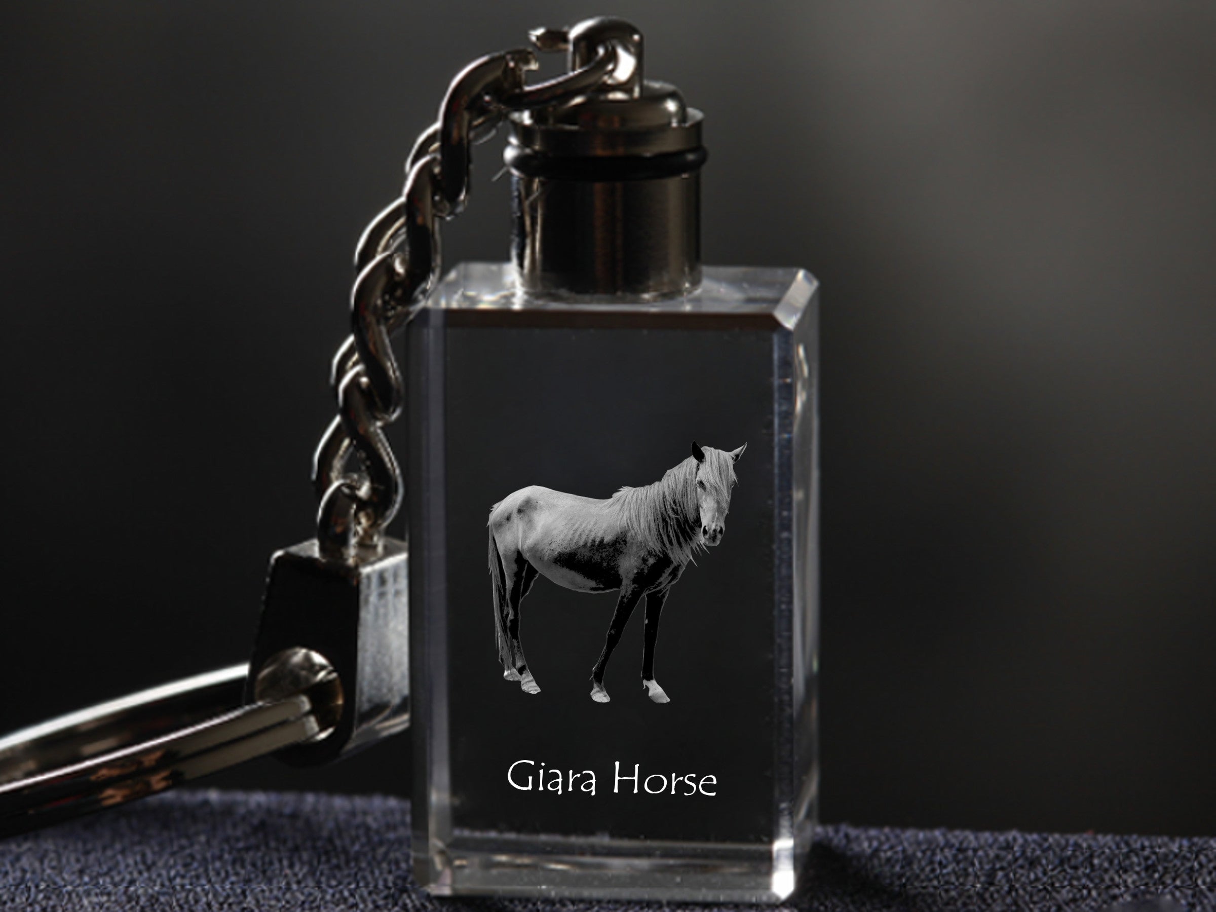 Giara Horse - Crystal pendant with photo of a horse, illuminated pendant, unique gift by Art-Dog brand