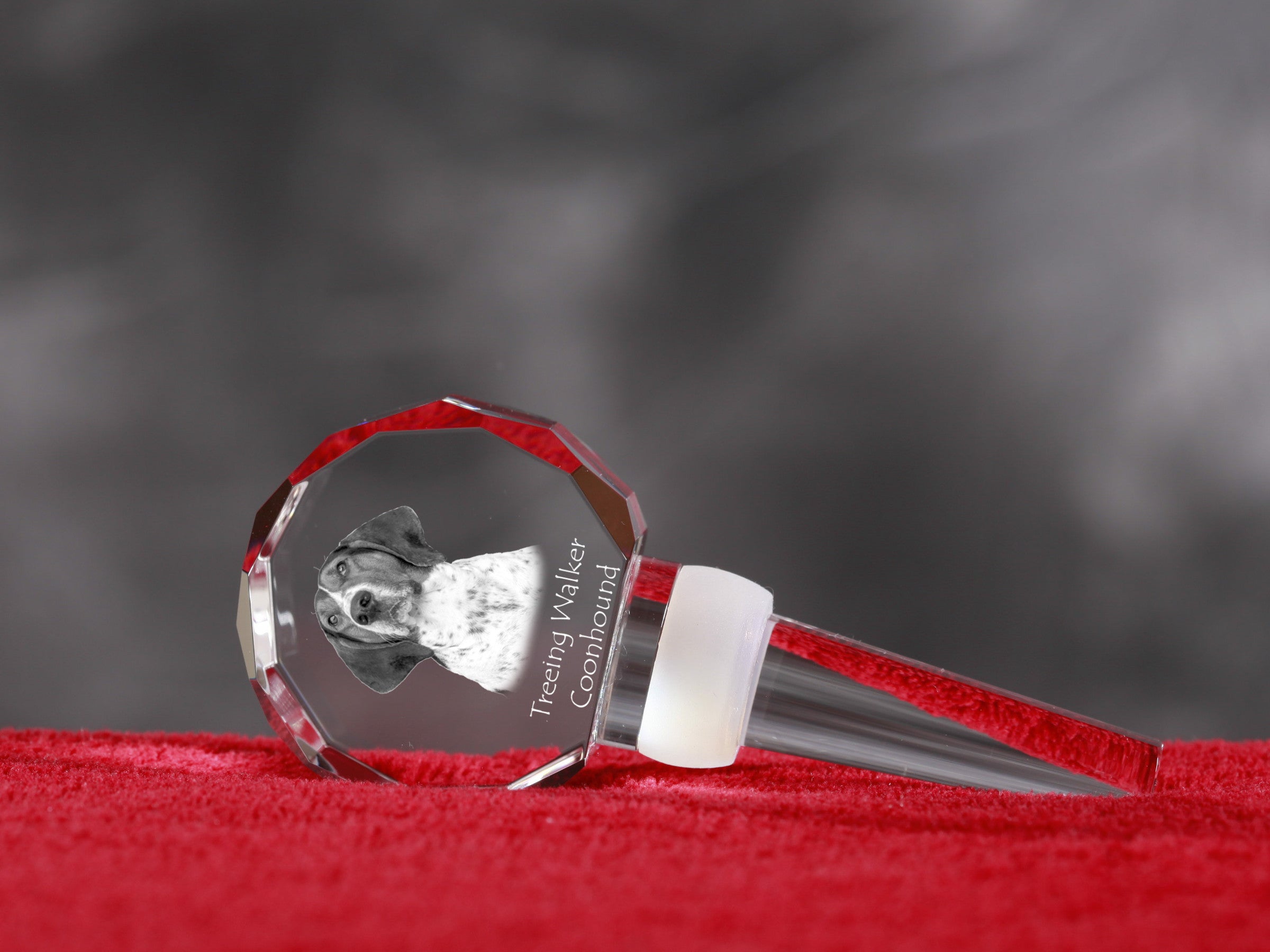 Treeing Walker Coonhound - Crystal bottle stopper, unique wine stopper with photo, personalised gift for sommelier by Art-Dog brand