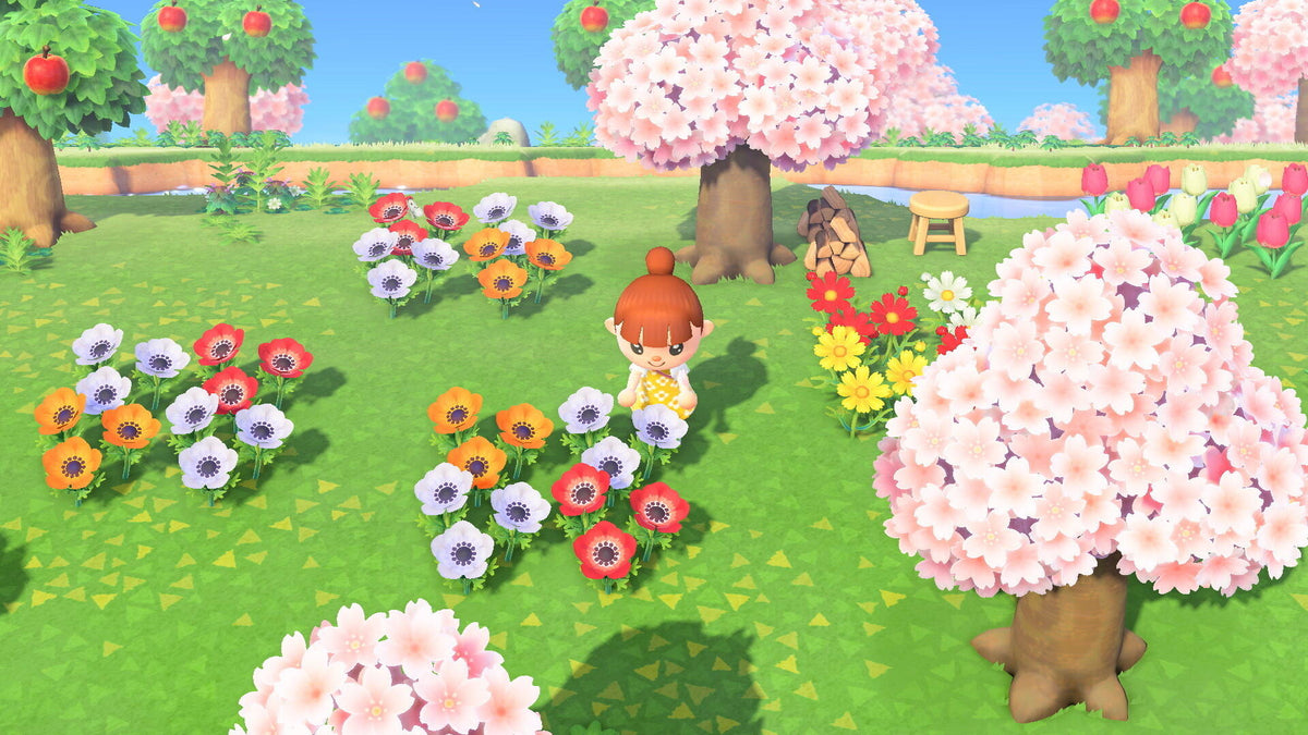 Nintendo Animal Crossing : New Horizons Standard Nintendo Switch