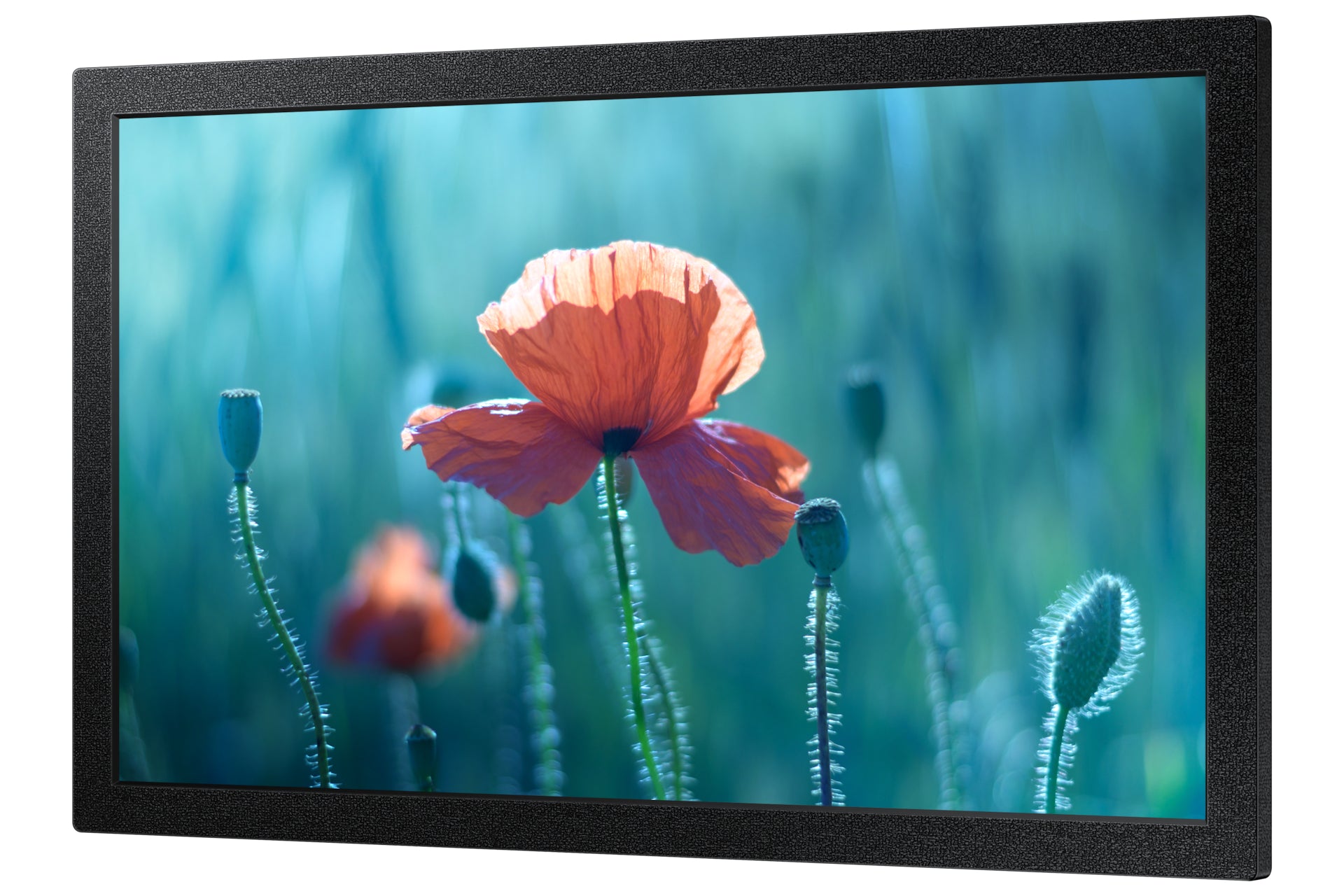 Samsung Samsung QB13C 33 cm (13") LCD Wifi 500 cd/m² Full HD Noir 16/7
