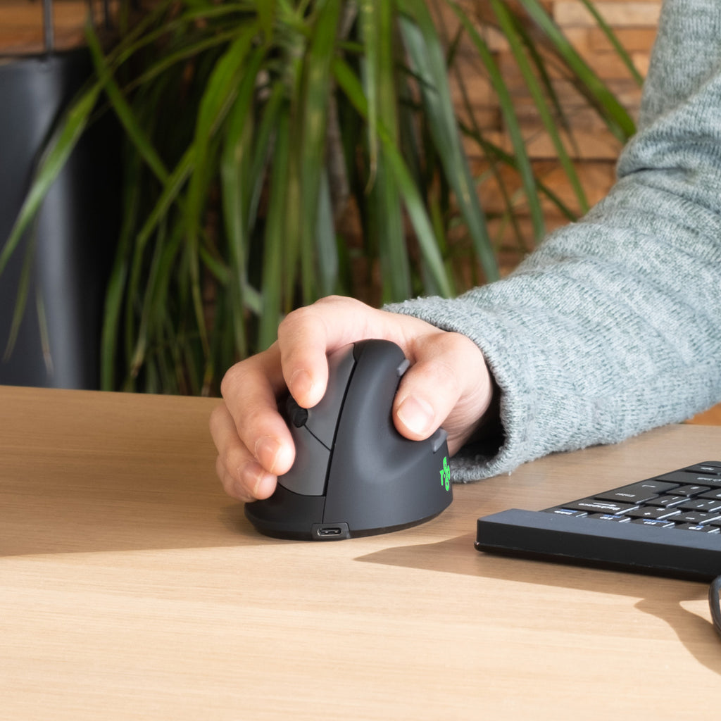 R-Go Tools Souris Ergonomique R-Go HE Break avec logiciel de pause, droiter, moyen (longueur main 165-185 mm), bluetooth, noir