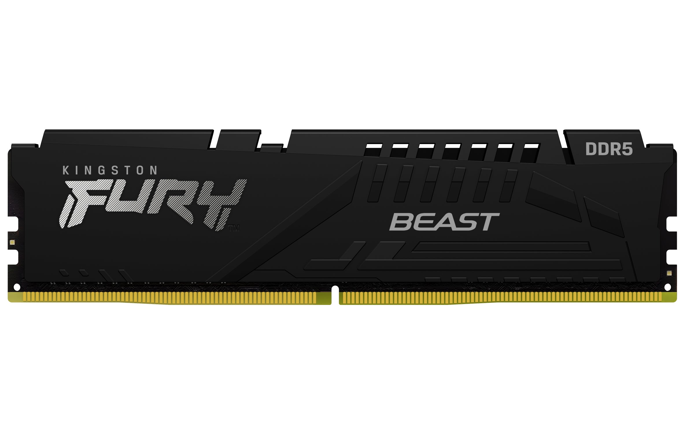 Kingston Technology FURY Beast 16 Go 5600 MT/s DDR5 CL40 DIMM Black