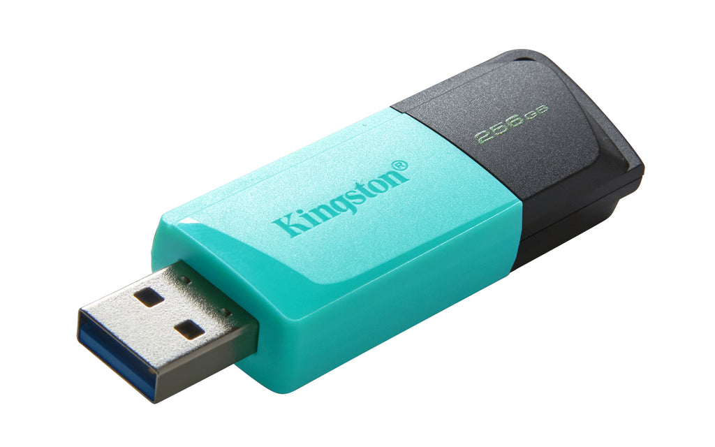 Kingston Technology DataTraveler 256GB USB3.2 Gen1 Exodia M (Noir + Turquoise)