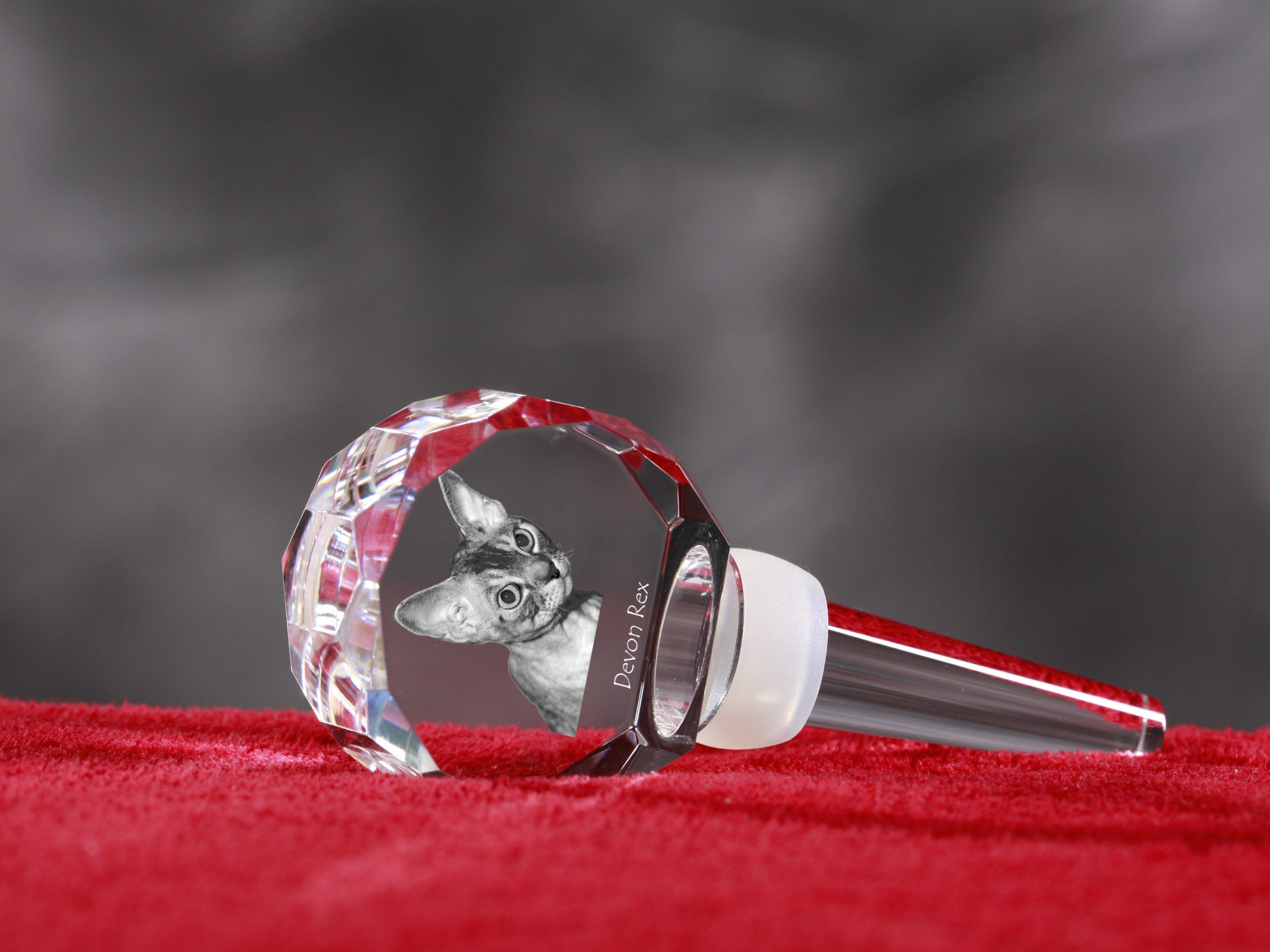 Devon Rex - Crystal bottle stopper with cat, unique wine stopper with photo, personalised gift for sommelier by Art-Dog brand