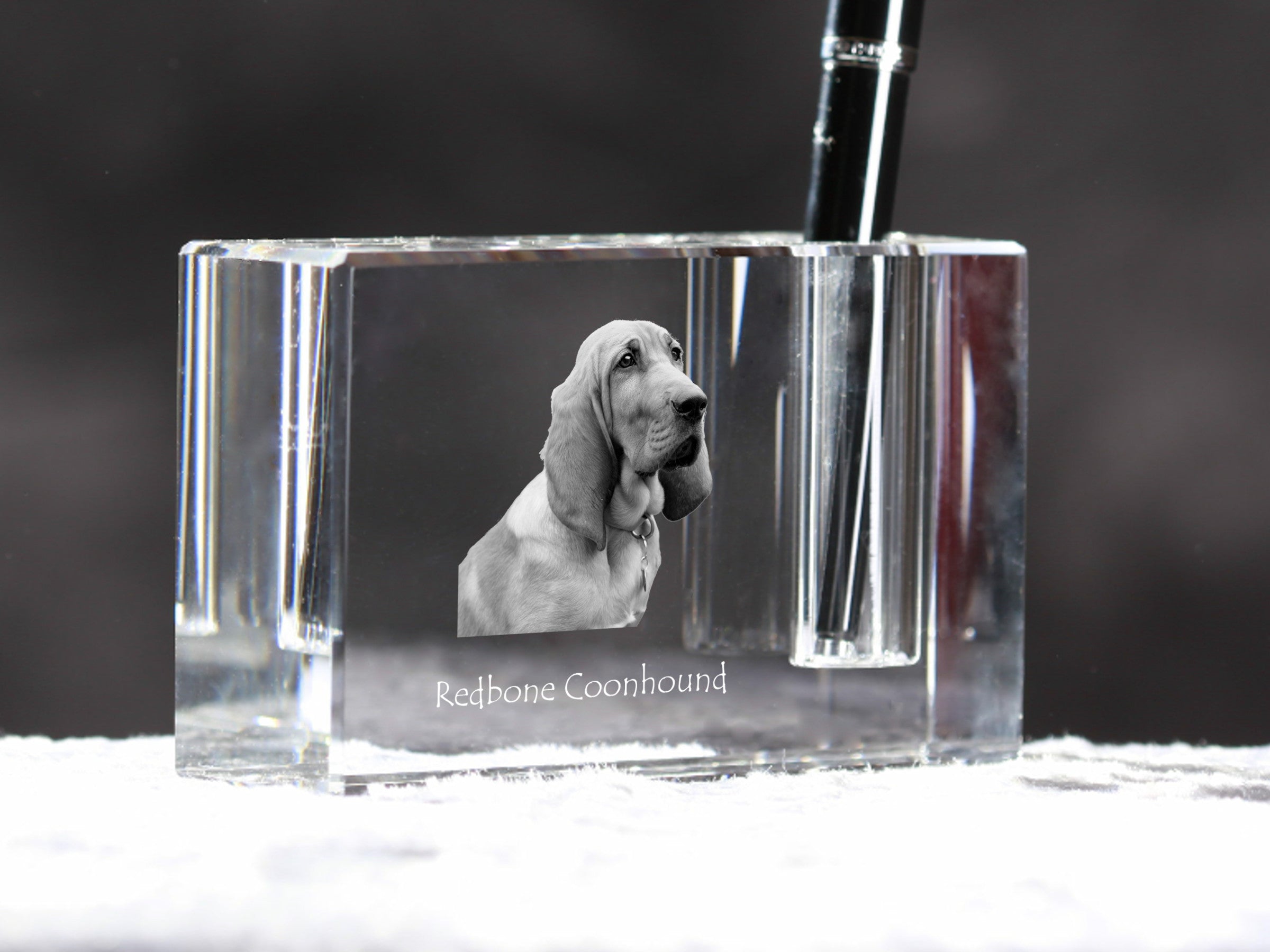 Redbone Coonhound - Pen stand, crystal organiser with dog photo, unique desk decoration by Art-Dog brand
