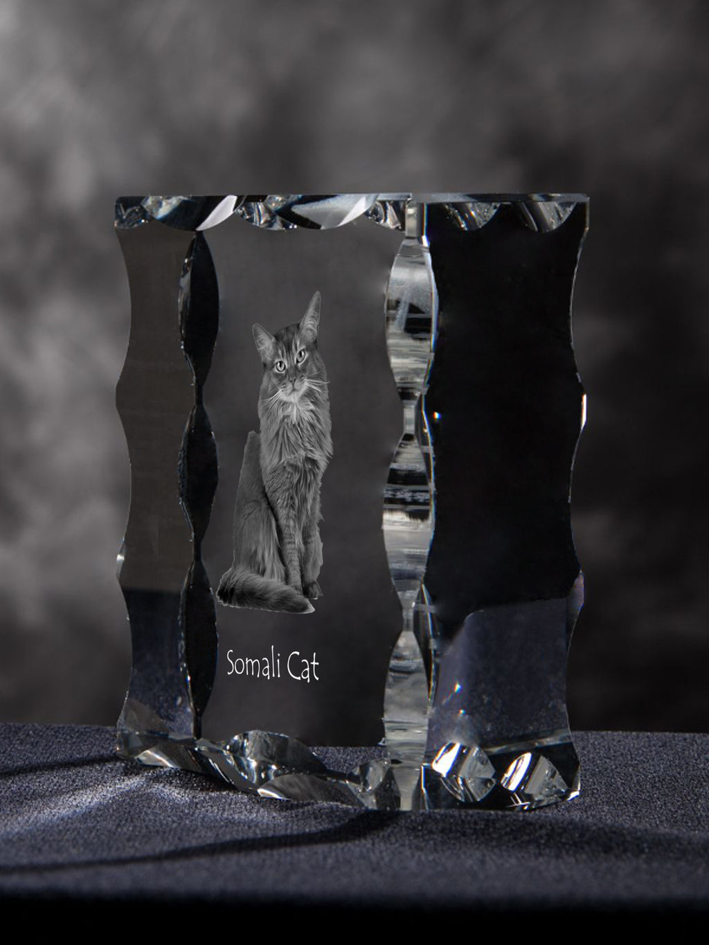 Somali - crystal with a cat picture, glass statuette with a picture, unique frame with a picture from Art-Dog brand